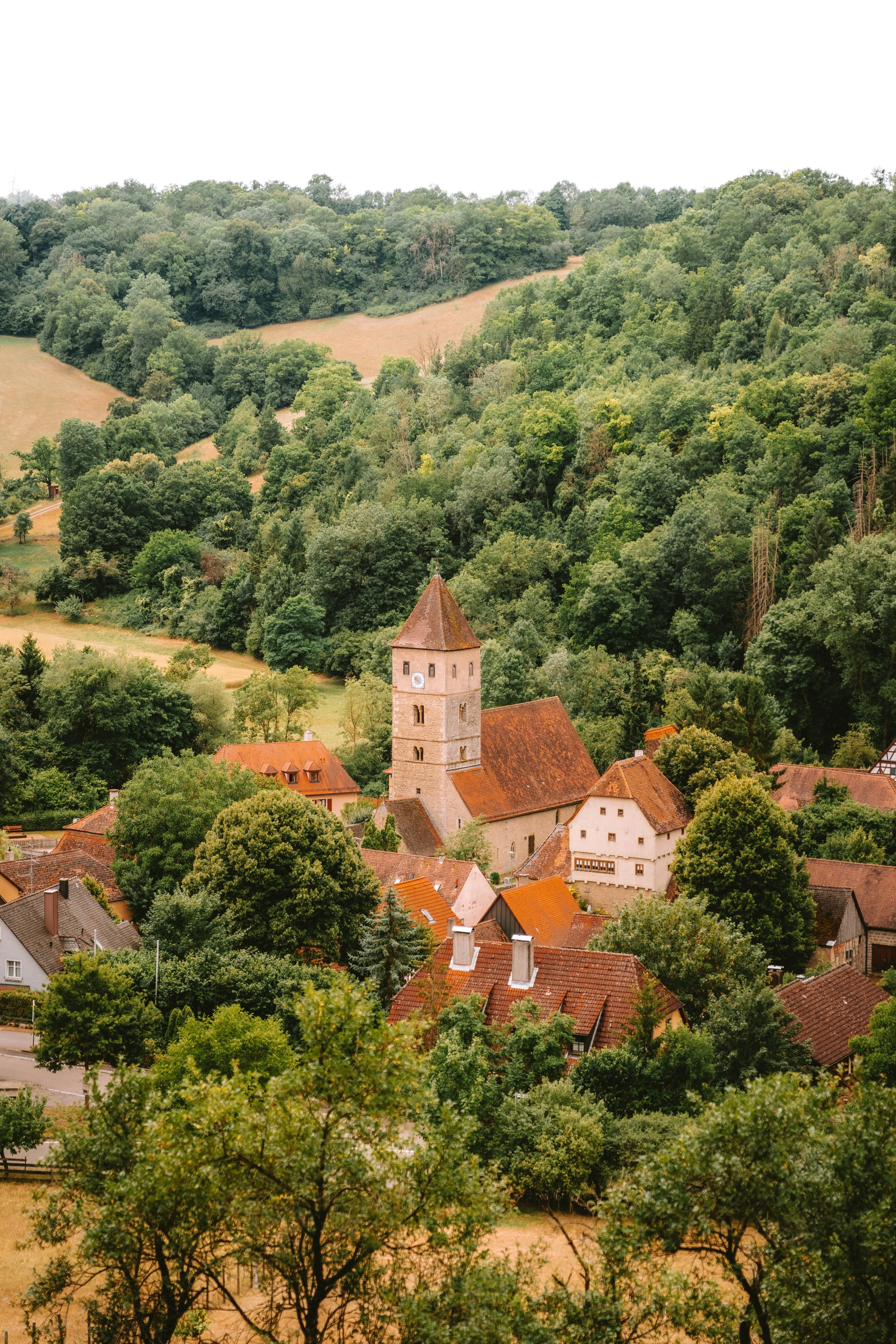 MP_08368.jpg