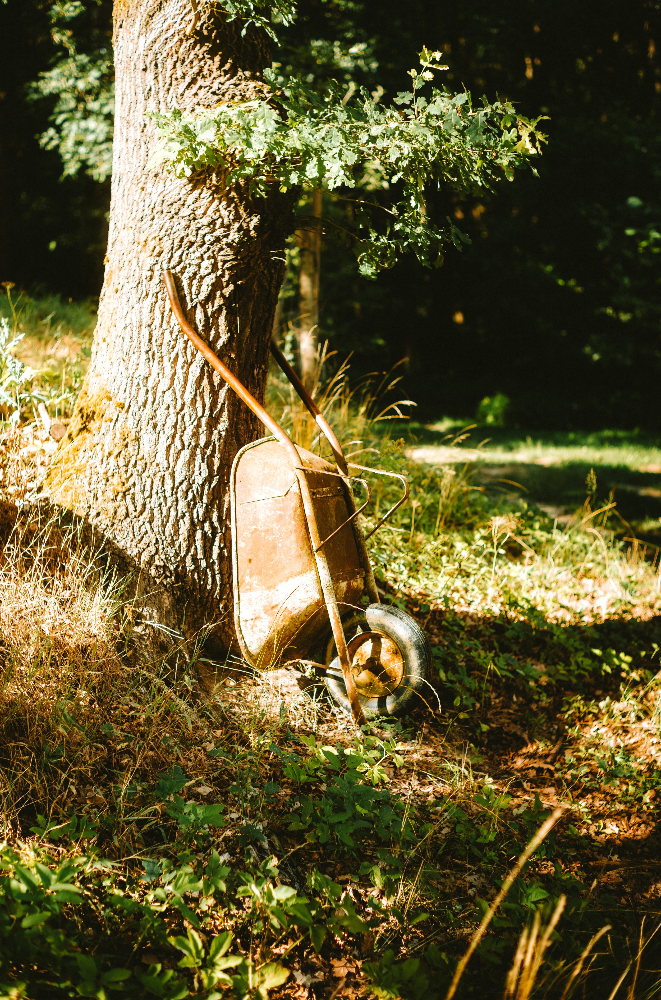 M10R0577.jpg
