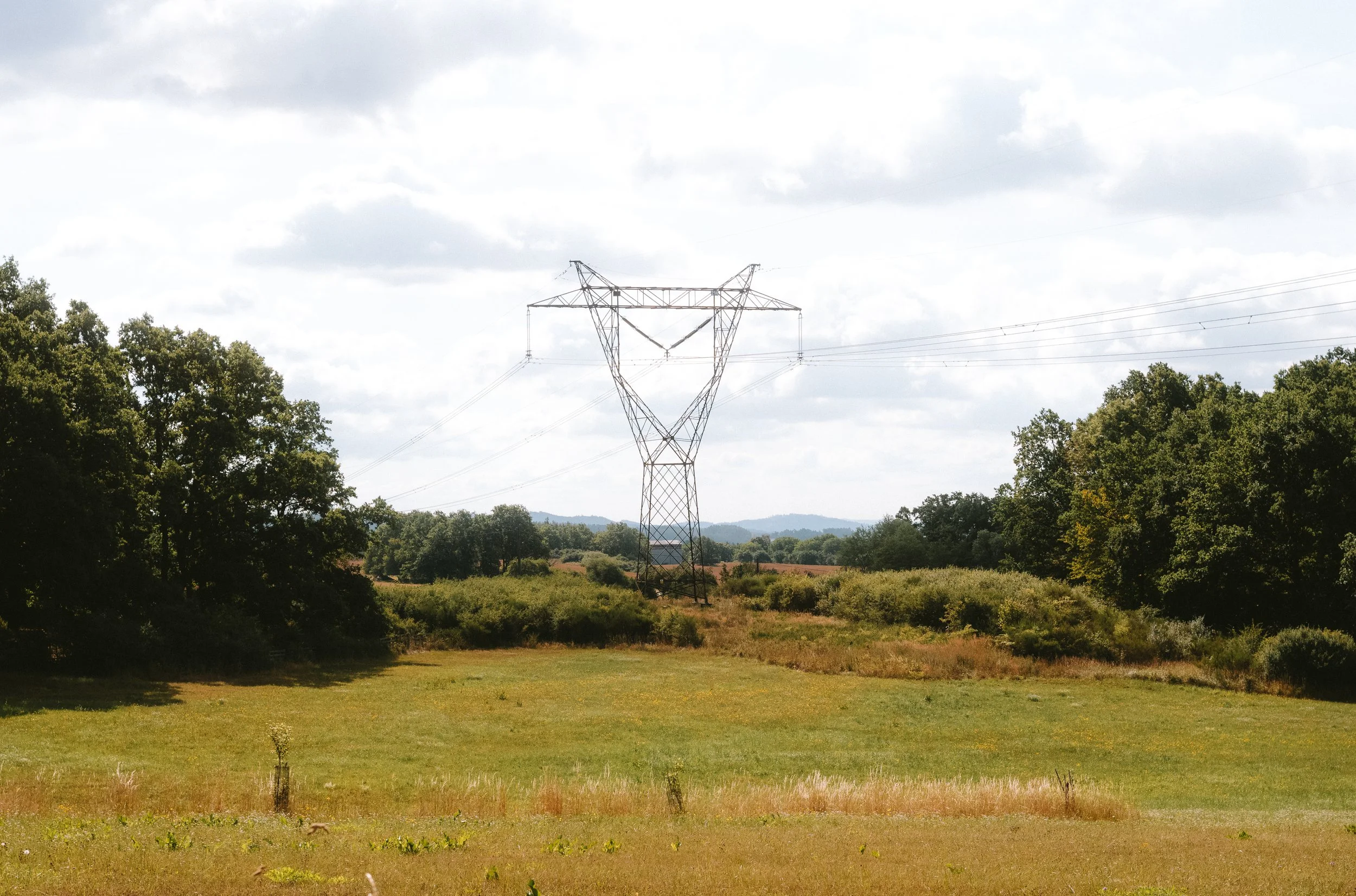 M10R0598.jpg