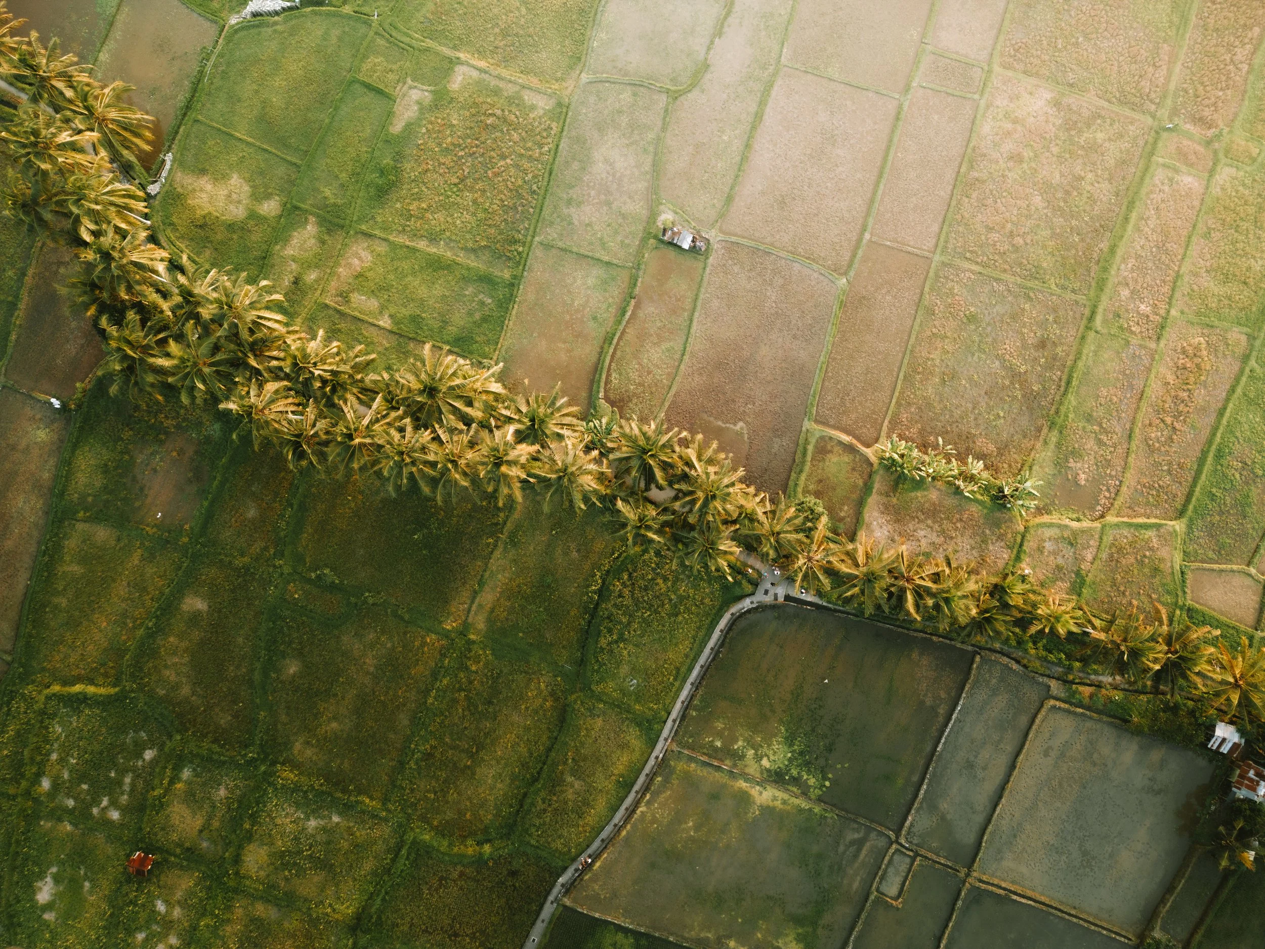 DJI_0451.jpg