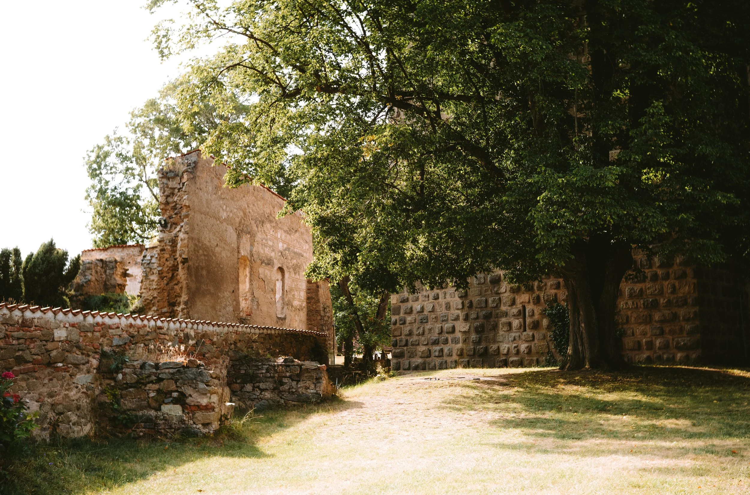 M10R0759.jpg