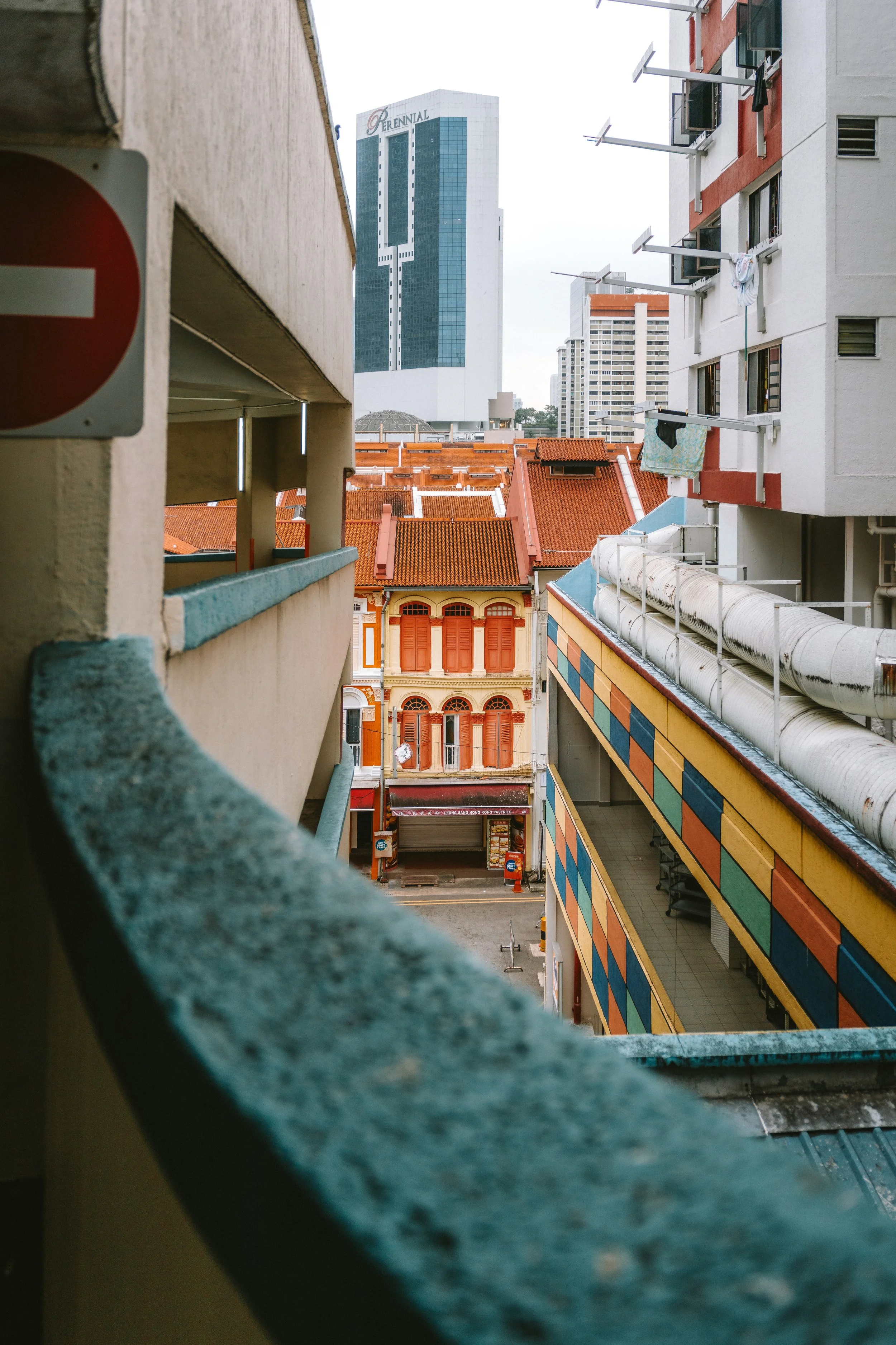 MP_08864.jpg