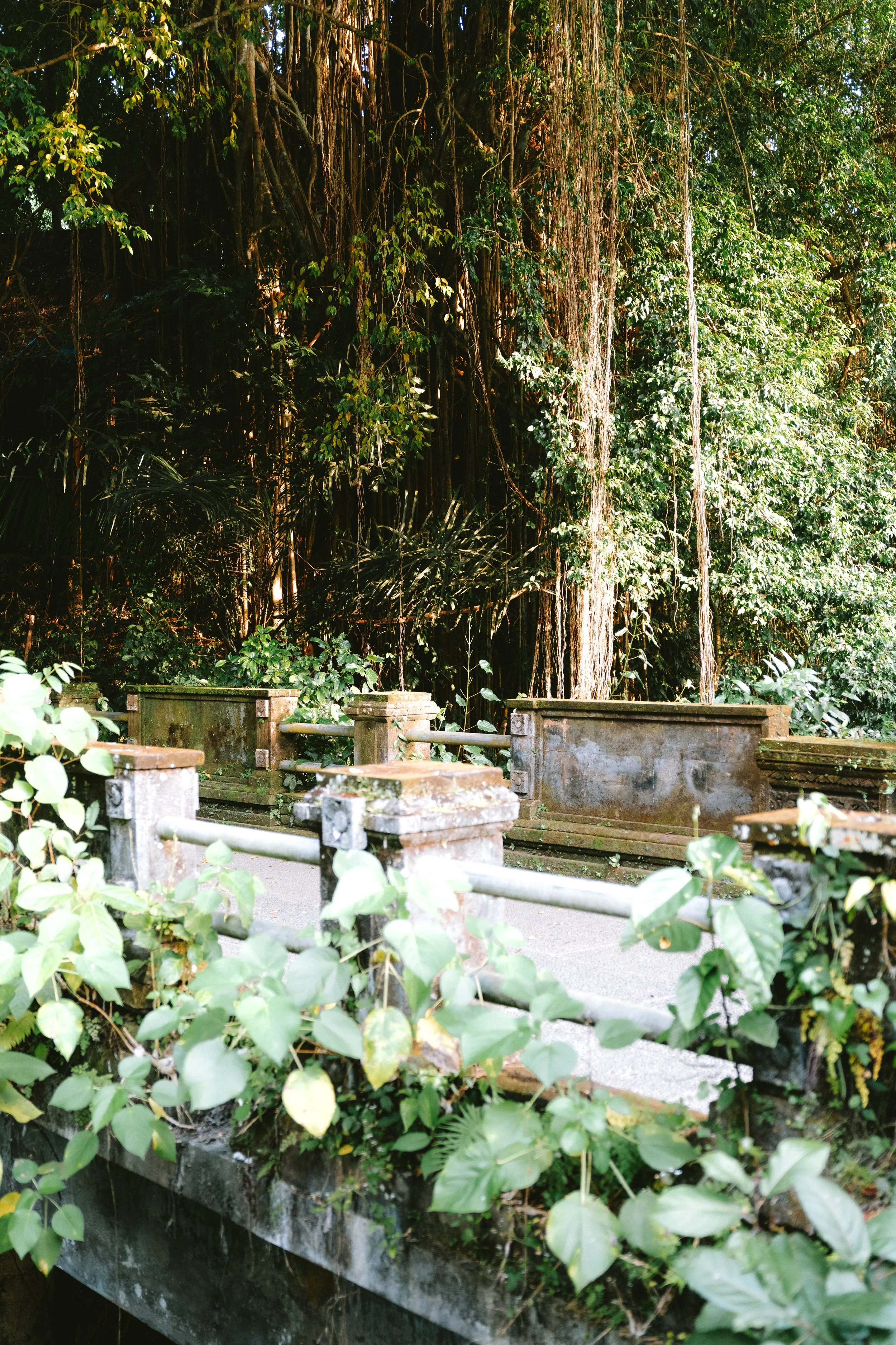 MP_09994.jpg