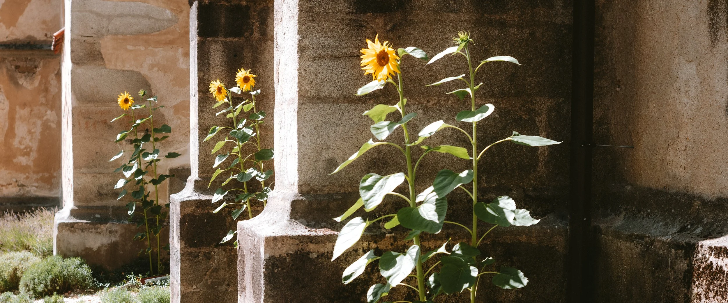 M10R0549.jpg