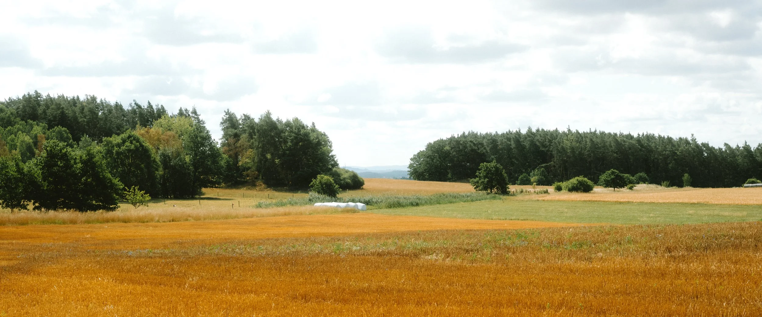 M10R0603.jpg