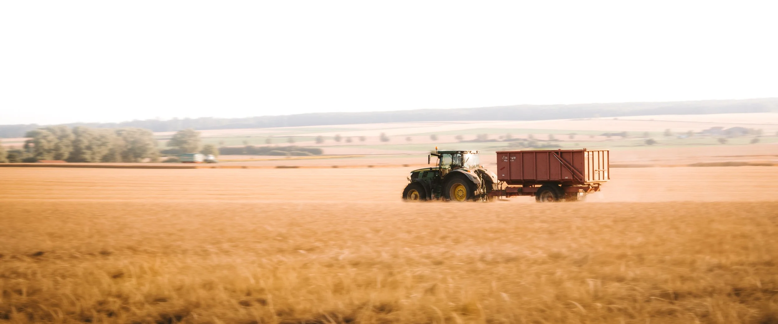 M10R1190-Edit.jpg