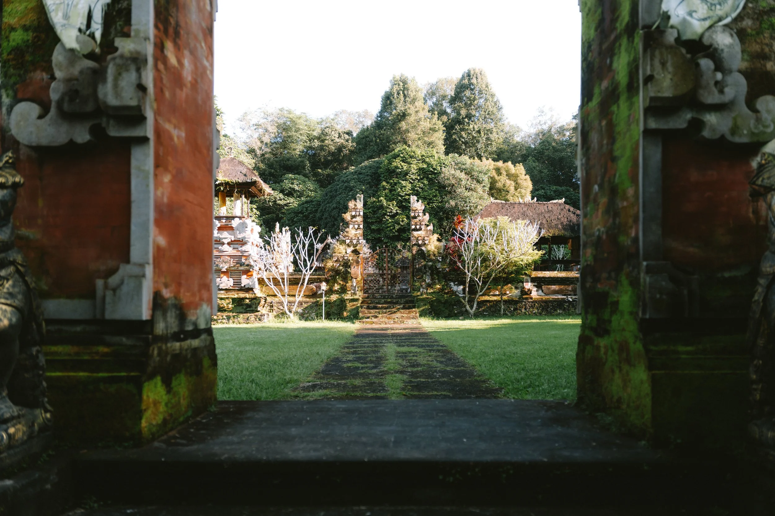 MP_09770.jpg