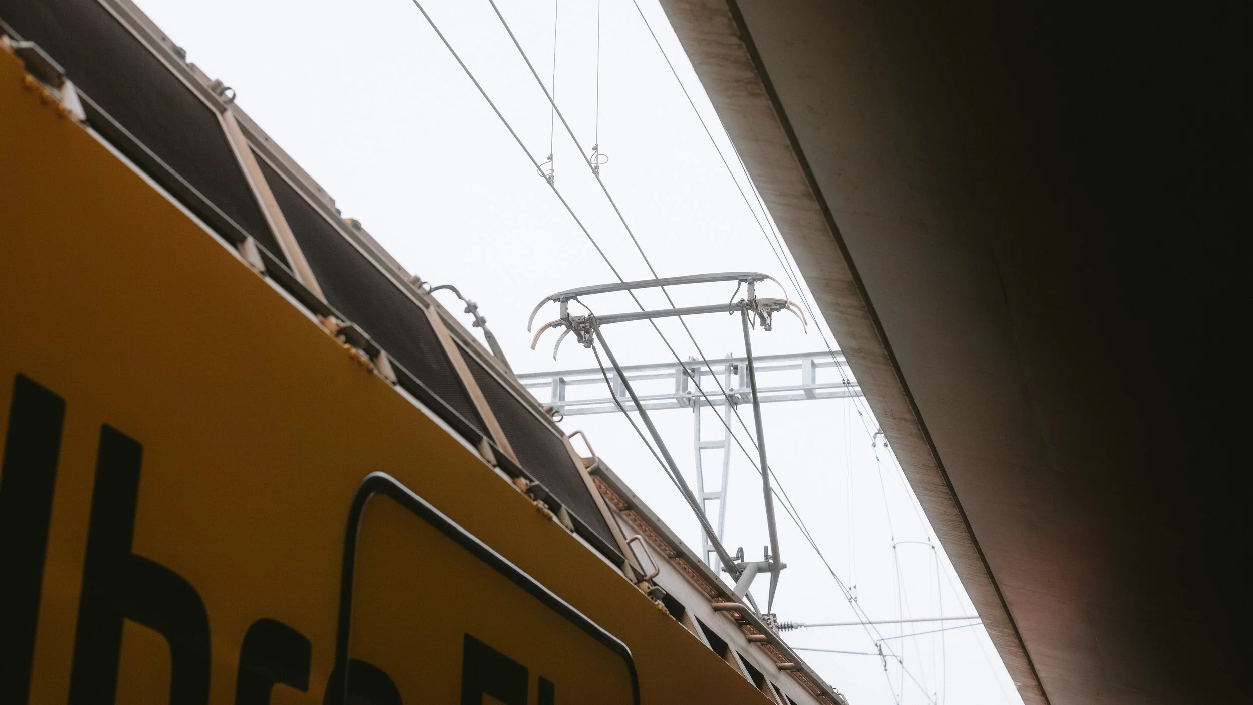 M10R9477.jpg