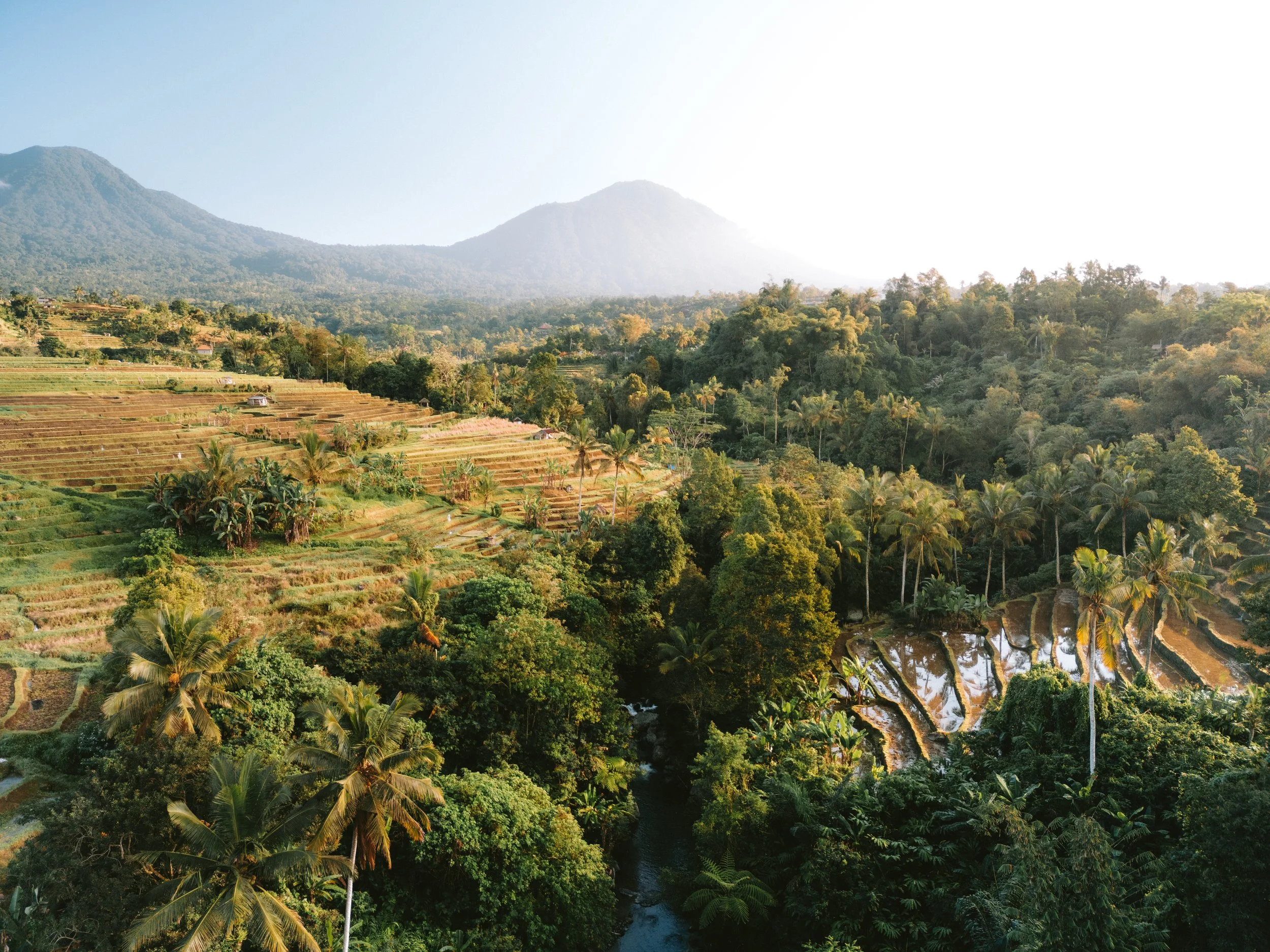 DJI_0398.jpg