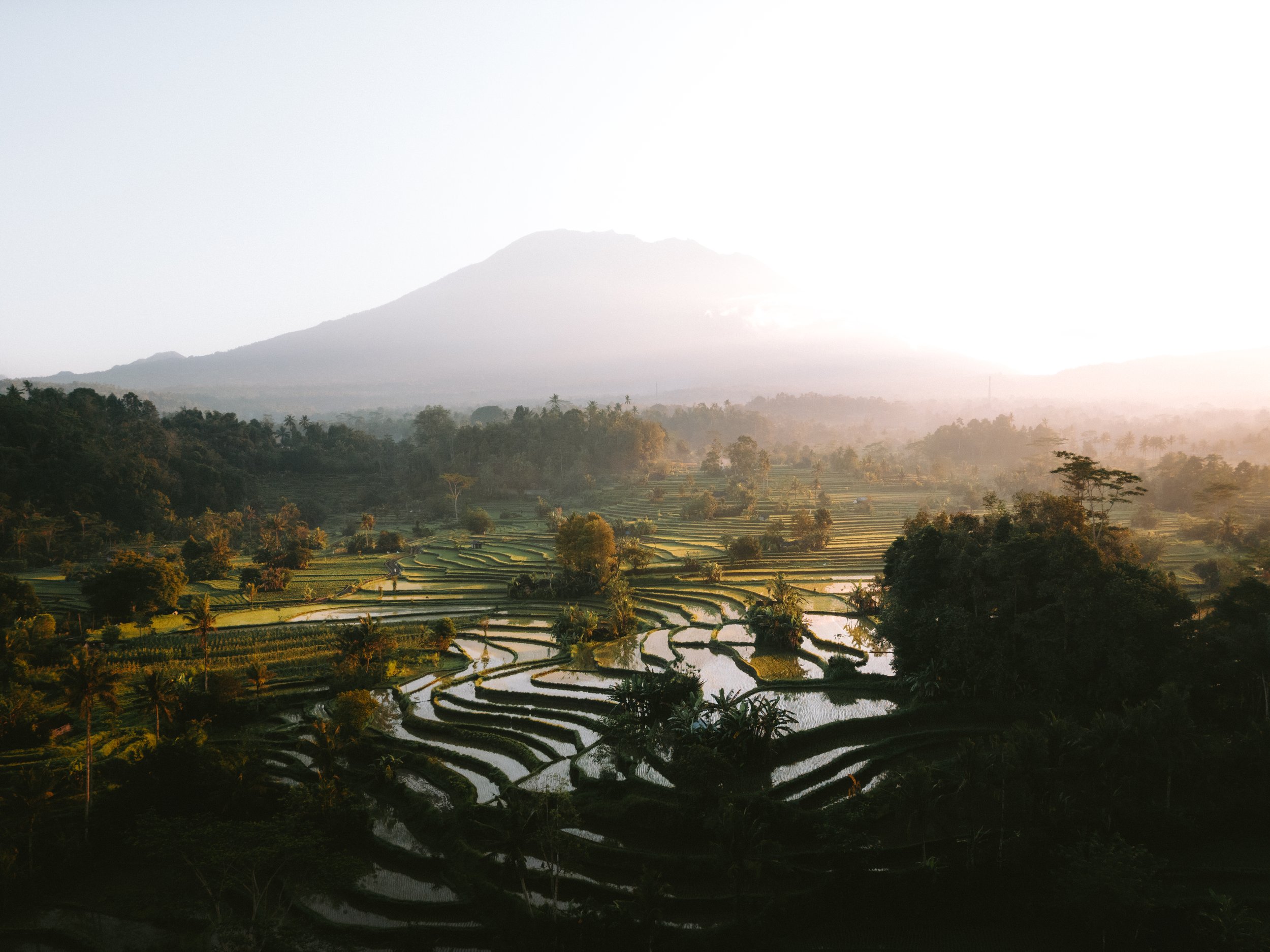 DJI_0517.jpg