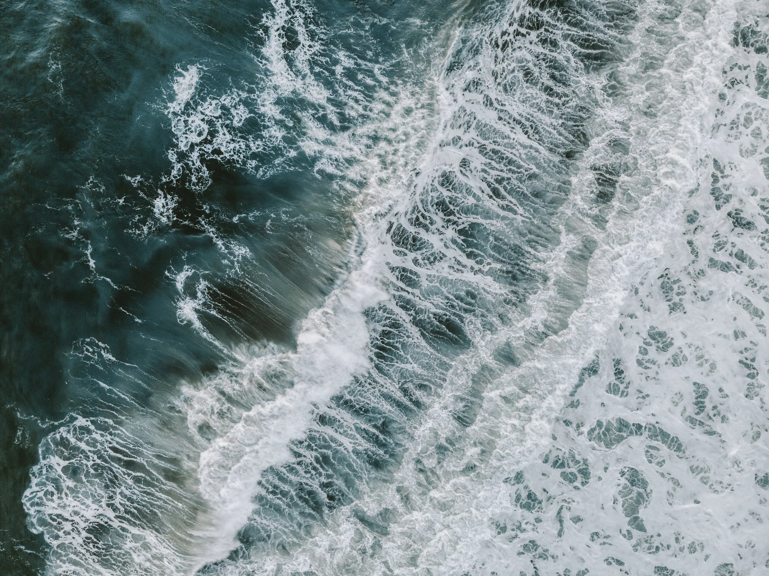 DJI_0390.jpg
