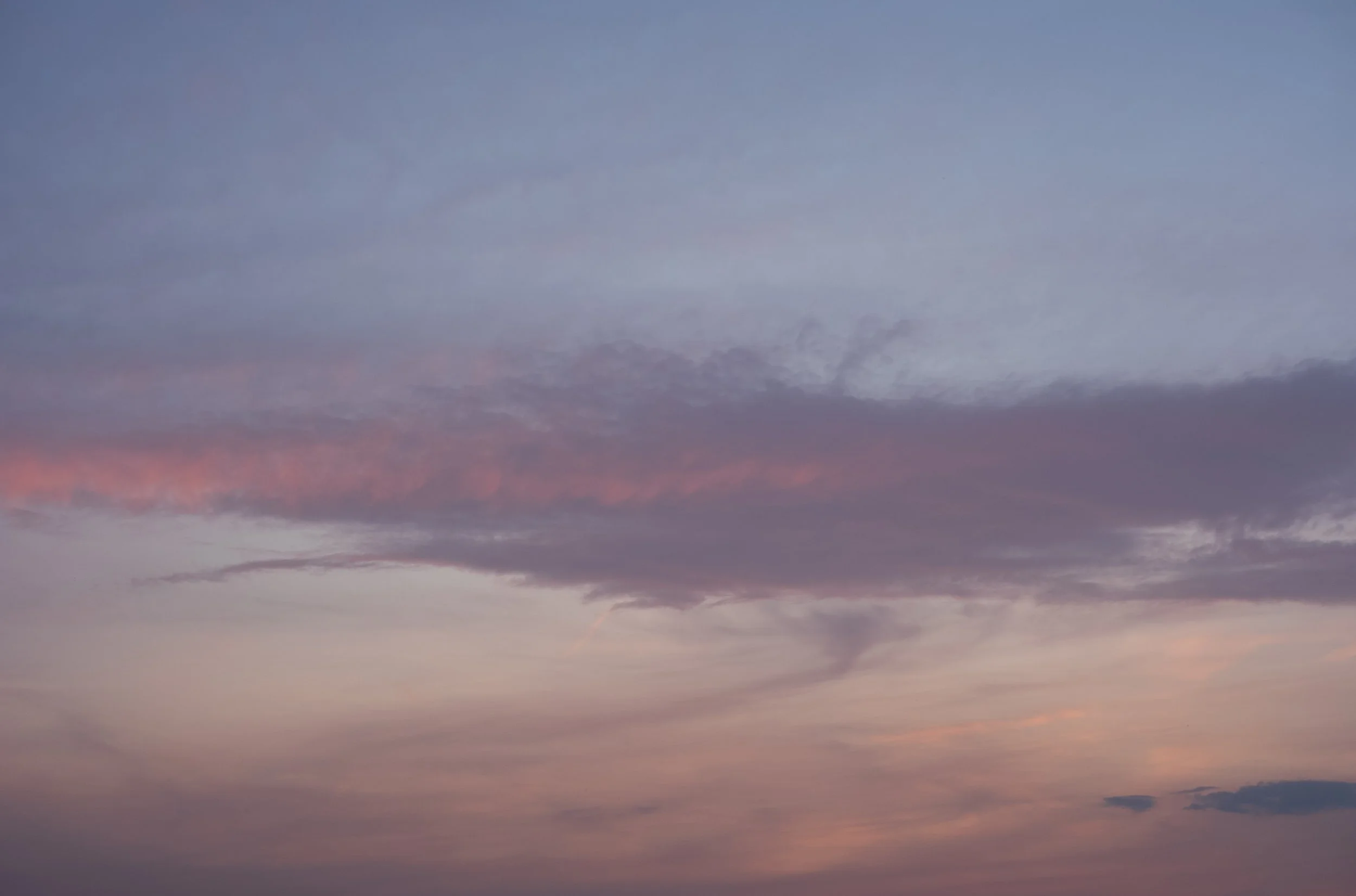M10R1291.jpg