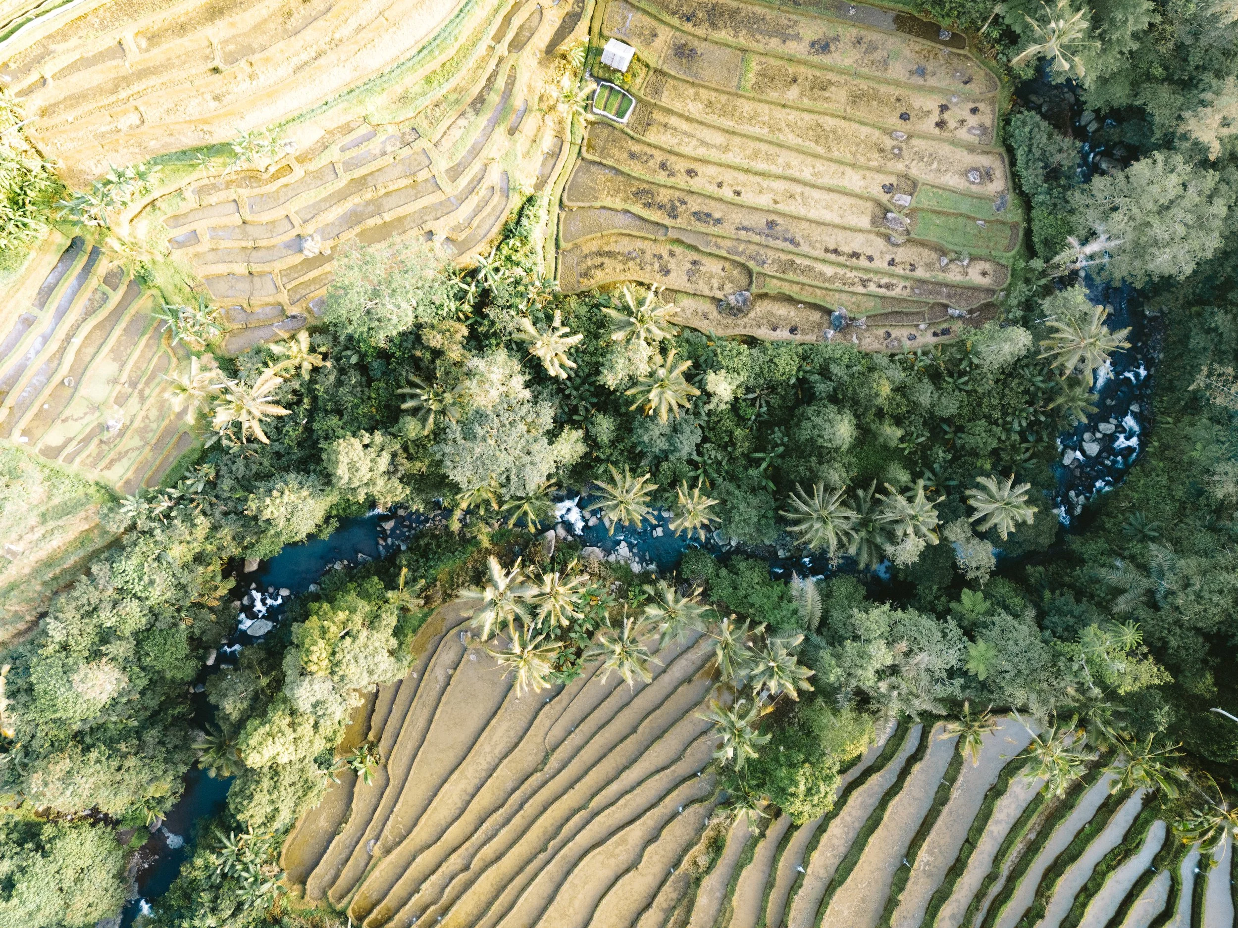 DJI_0403.jpg