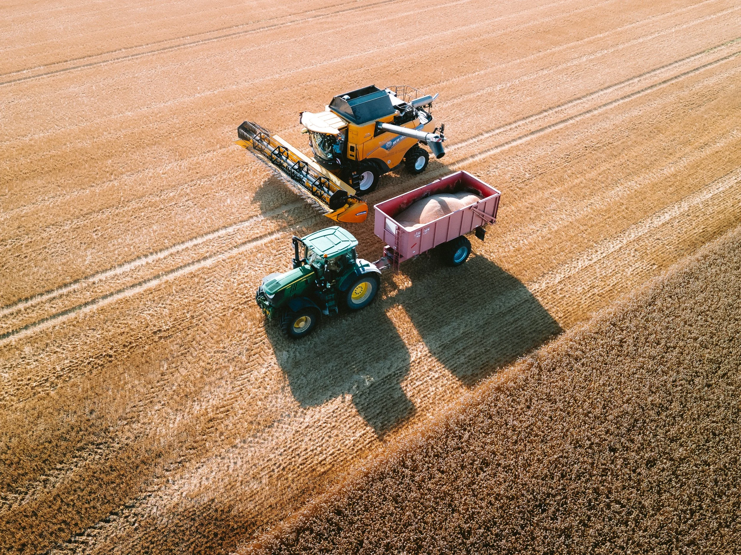 DJI_0846.jpg