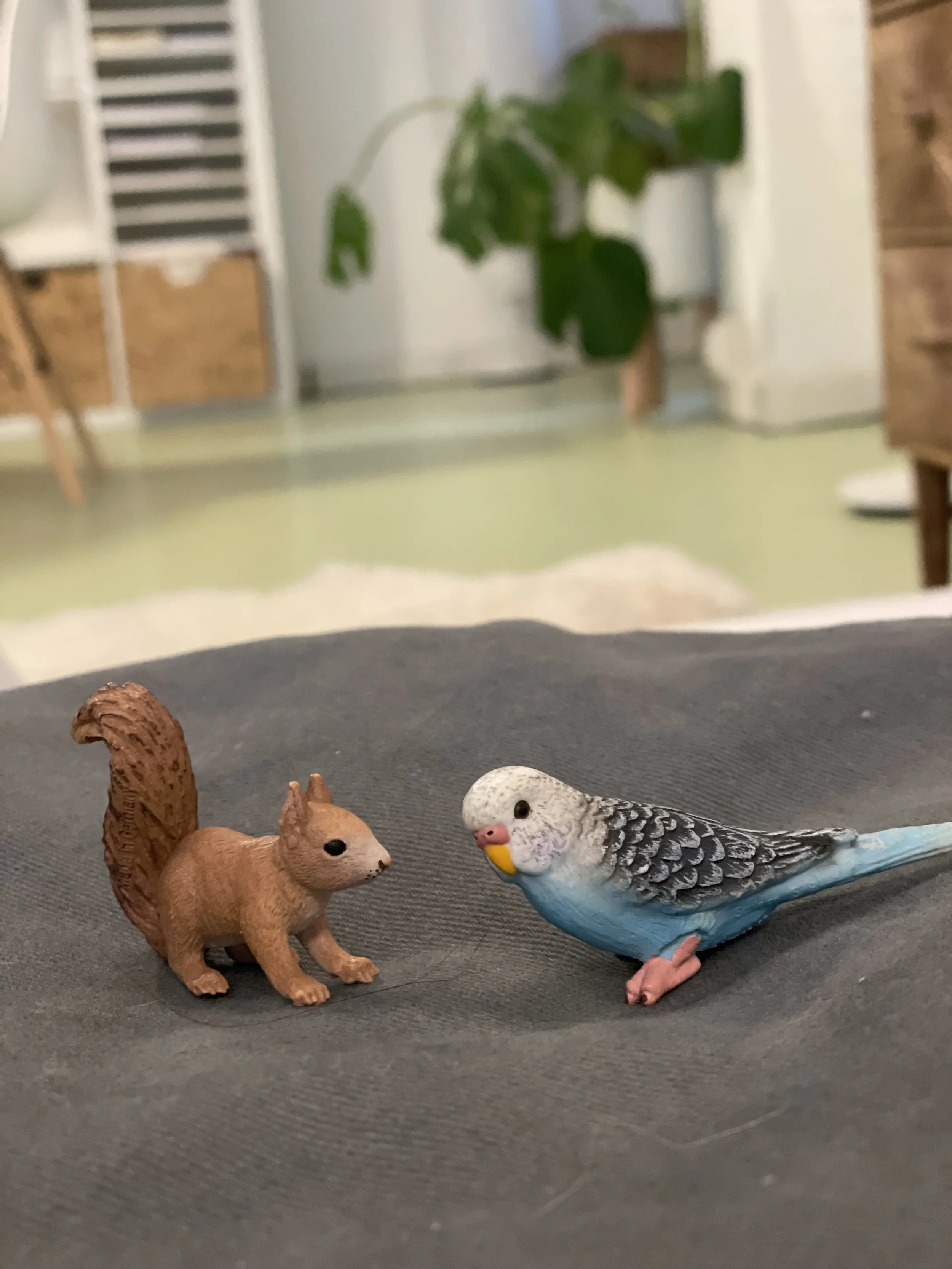 Spielzeugfiguren eines Eichhörnchens und eines Papageis auf einem schwarzen Untergrund.