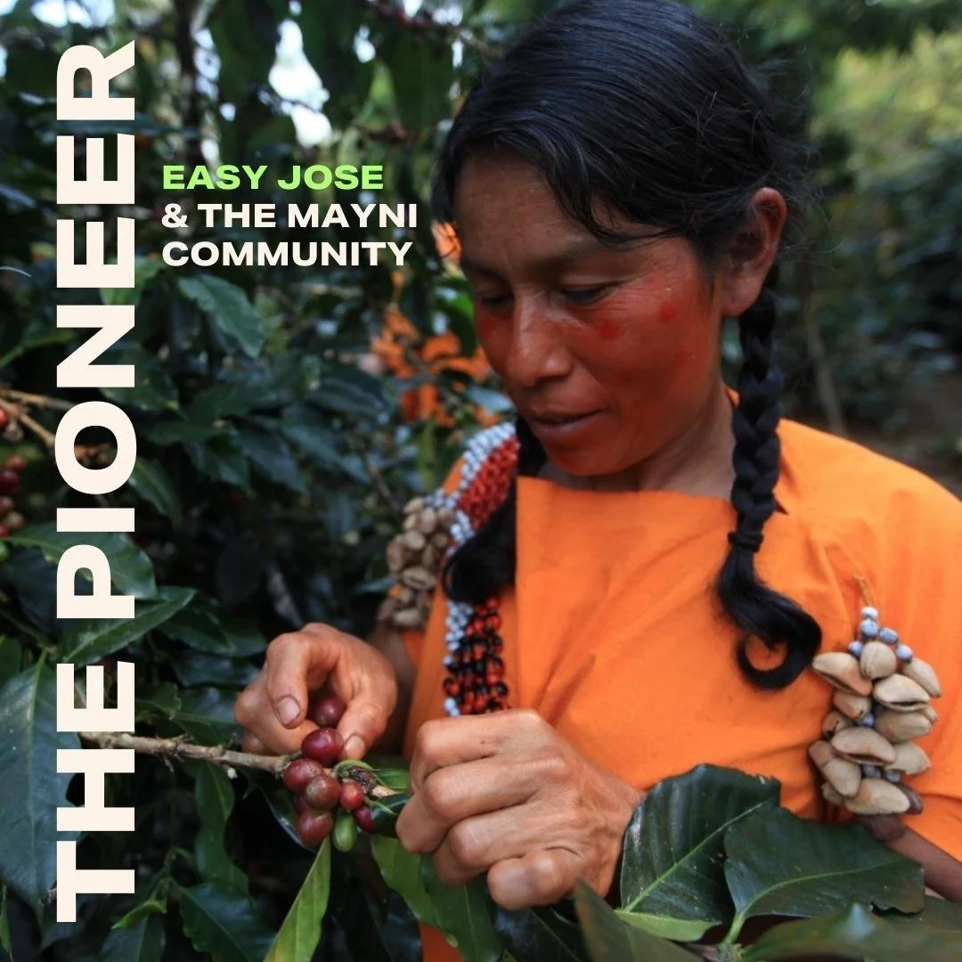 The ‘PIONEER IN 5’ with Greg Campher, Easy Jose Coffee