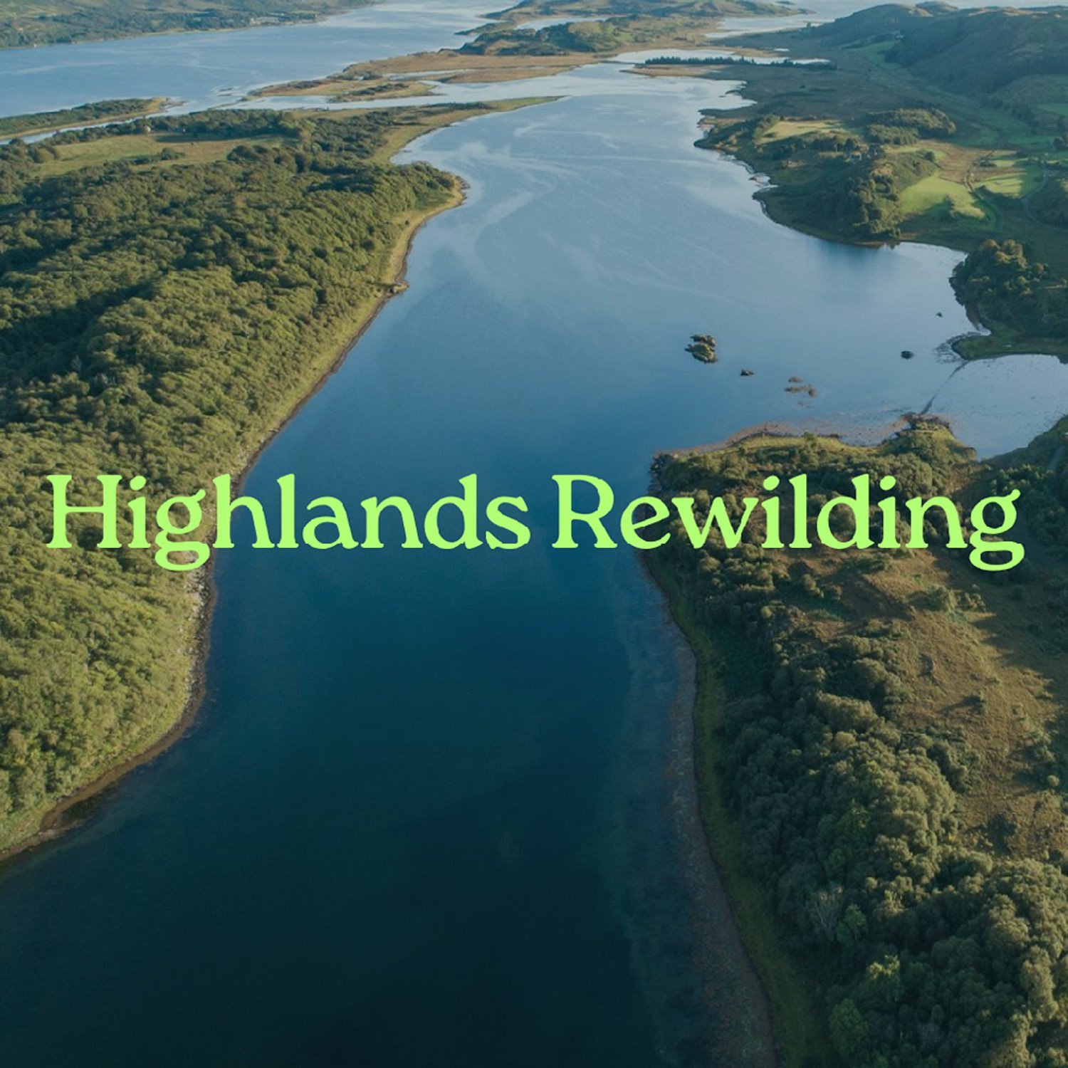 Highland Rewilding.jpg