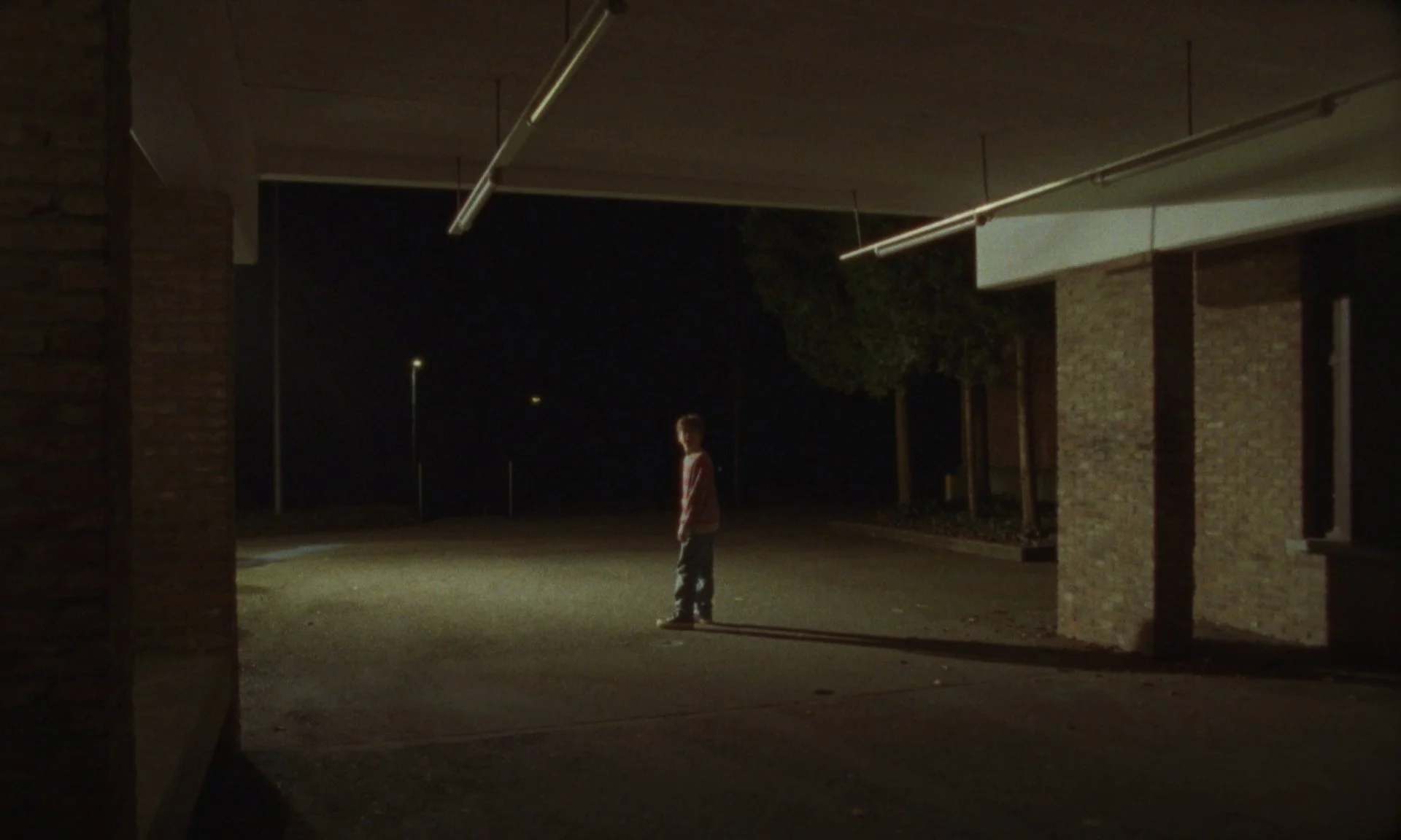 Still 2026-01-25 003223_1.1.9.jpg