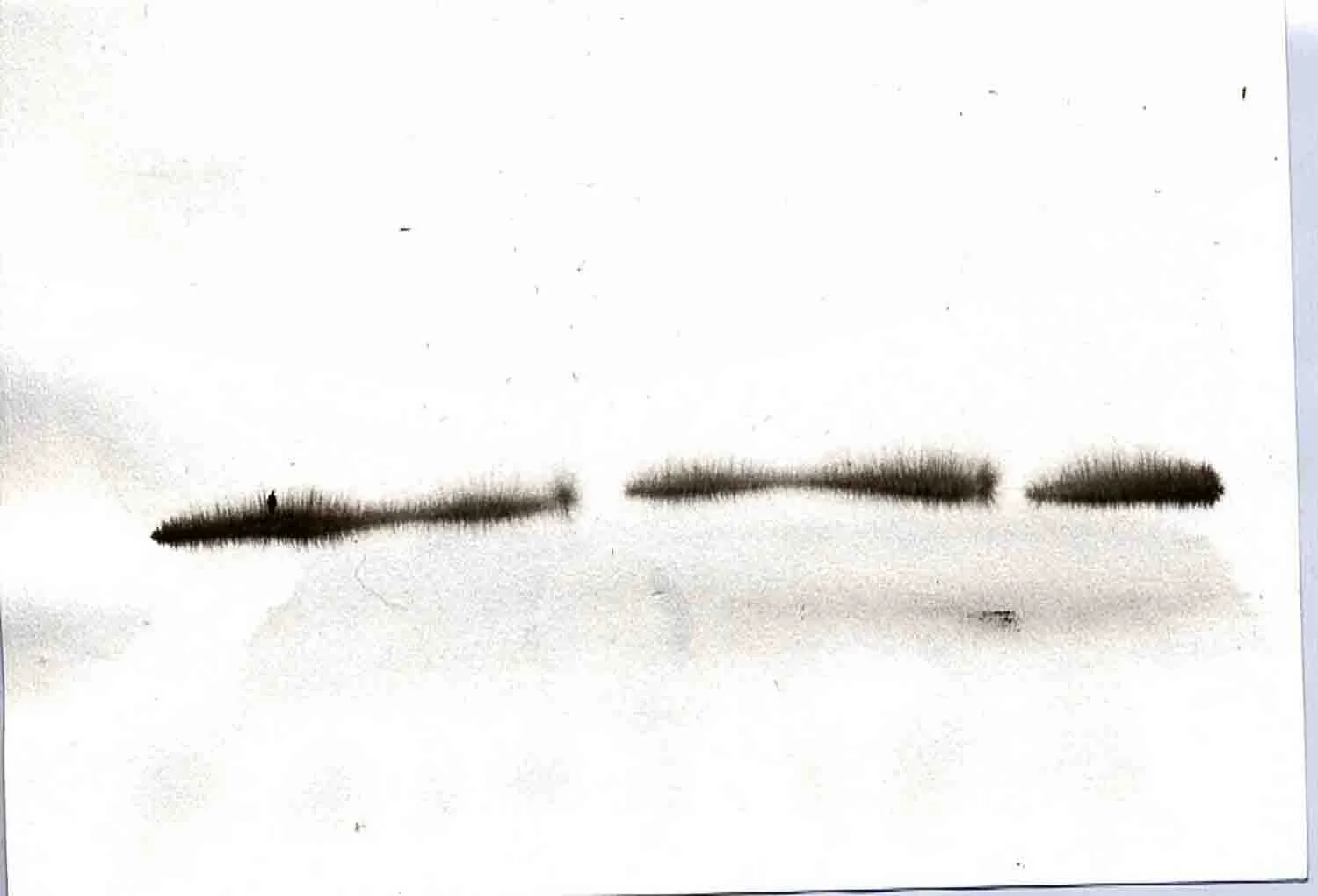 Scan-231202-0020.jpg