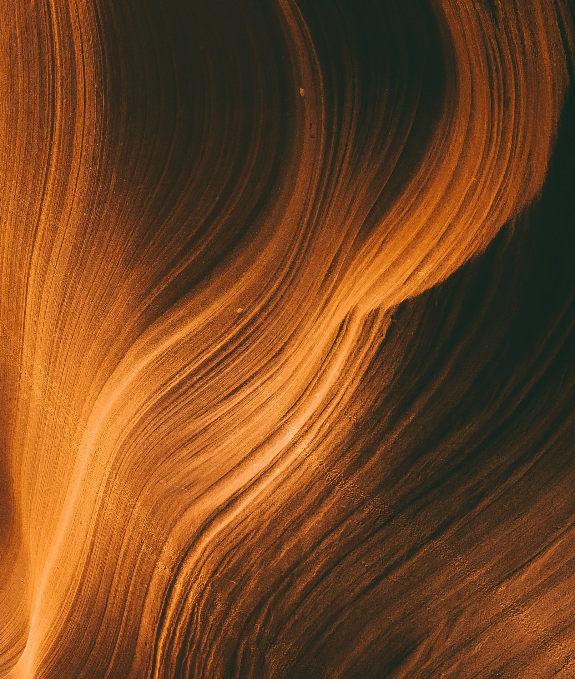 meric-dagli-G-Hy9u5AzbI-unsplash.jpg