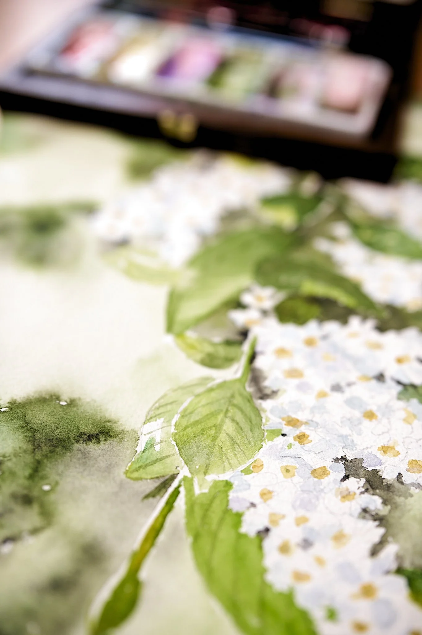 bird_cherry_hawthorn_may_tree_watercolour_Monikas_Painting_23.05.24 7.jpg