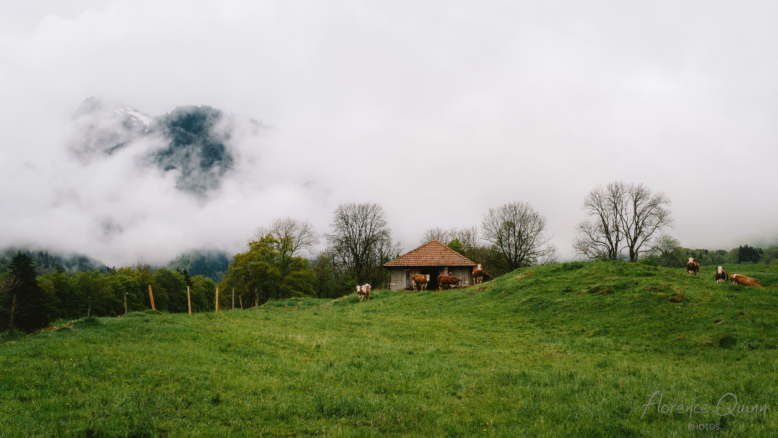 Premières sorties, vallée de l'Intyamon