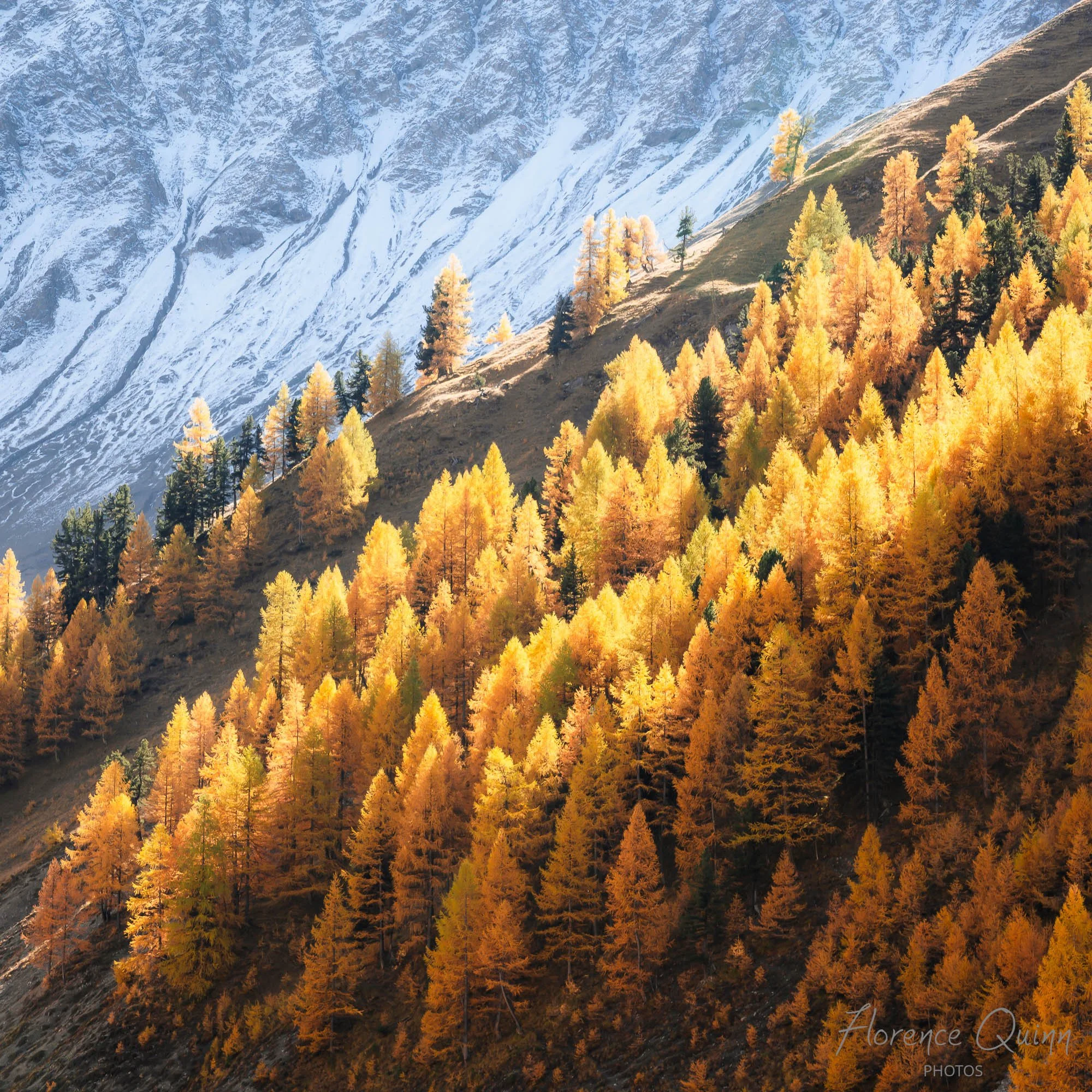 Dernières lueurs, Parc National Suisse