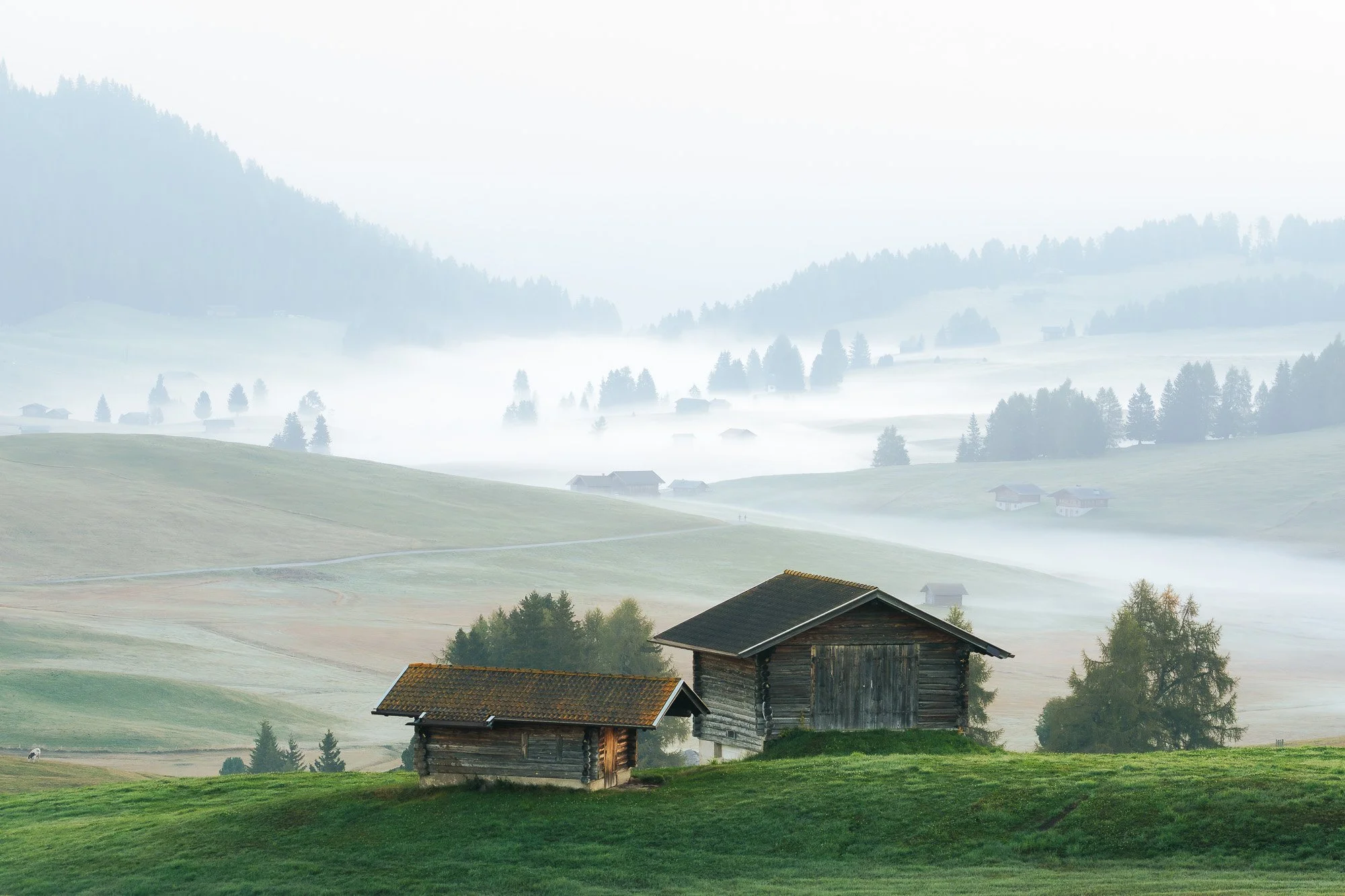 Brume matinale