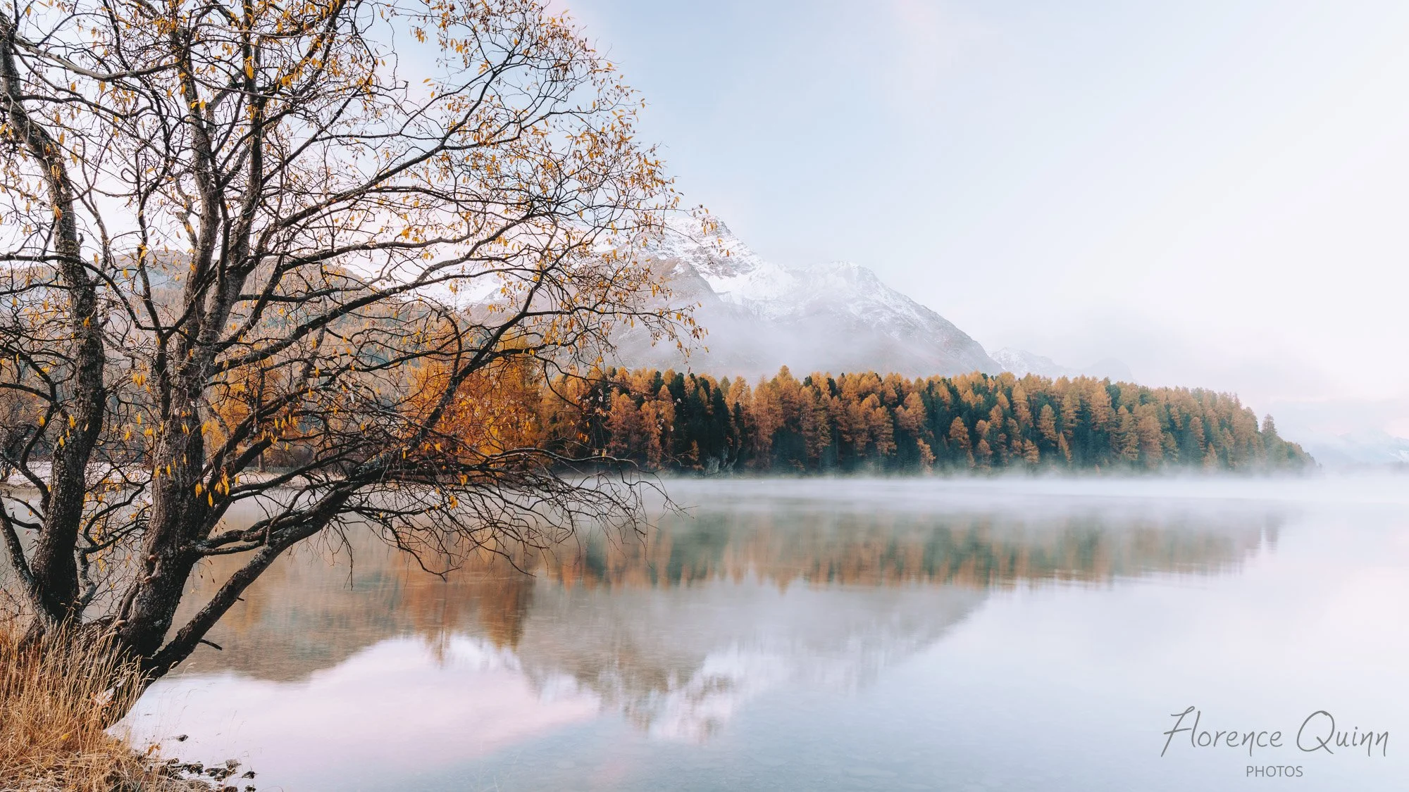 Lever du soleil sur les rives du Silsersee, Engadine