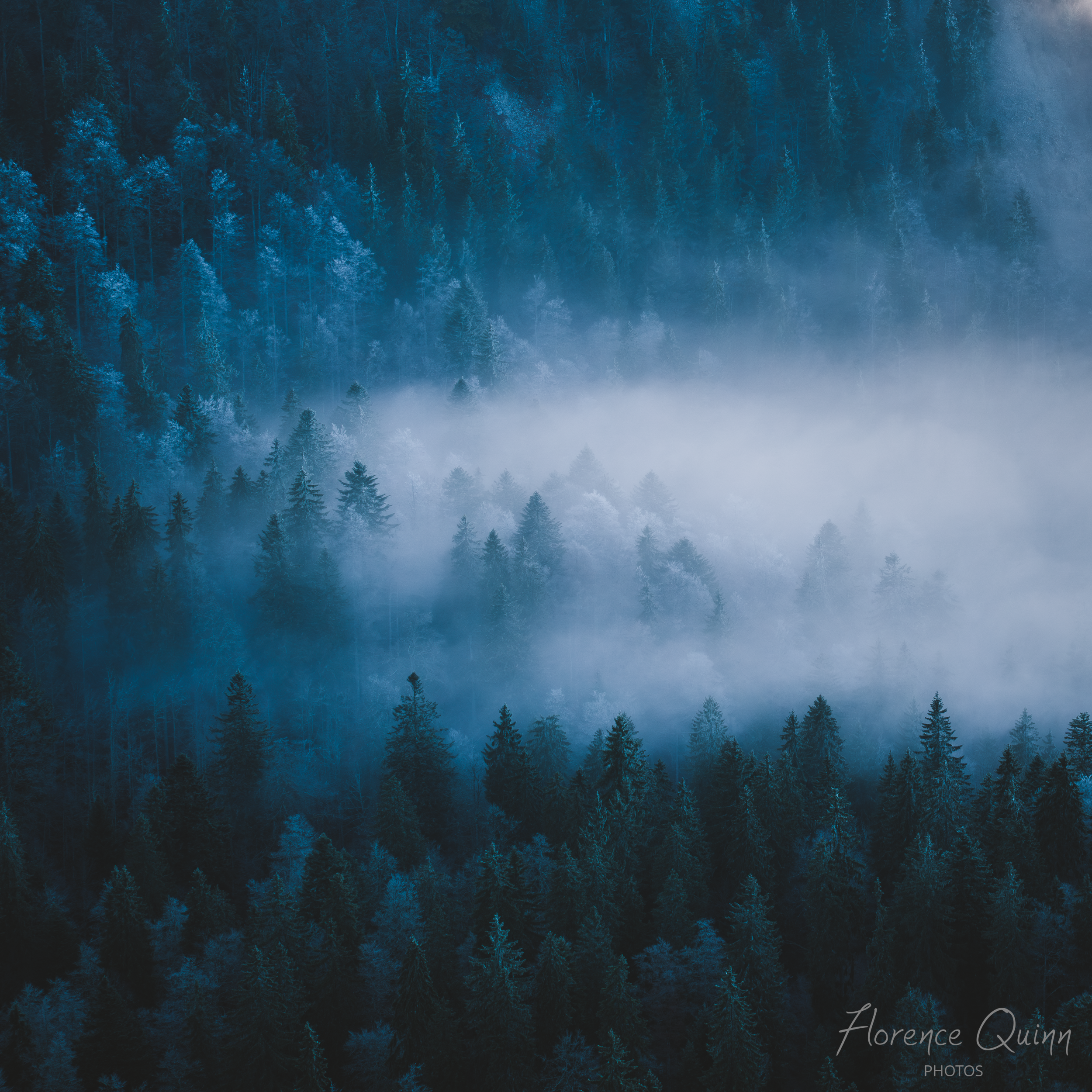 Brume éphémère Jura neuchâtelois