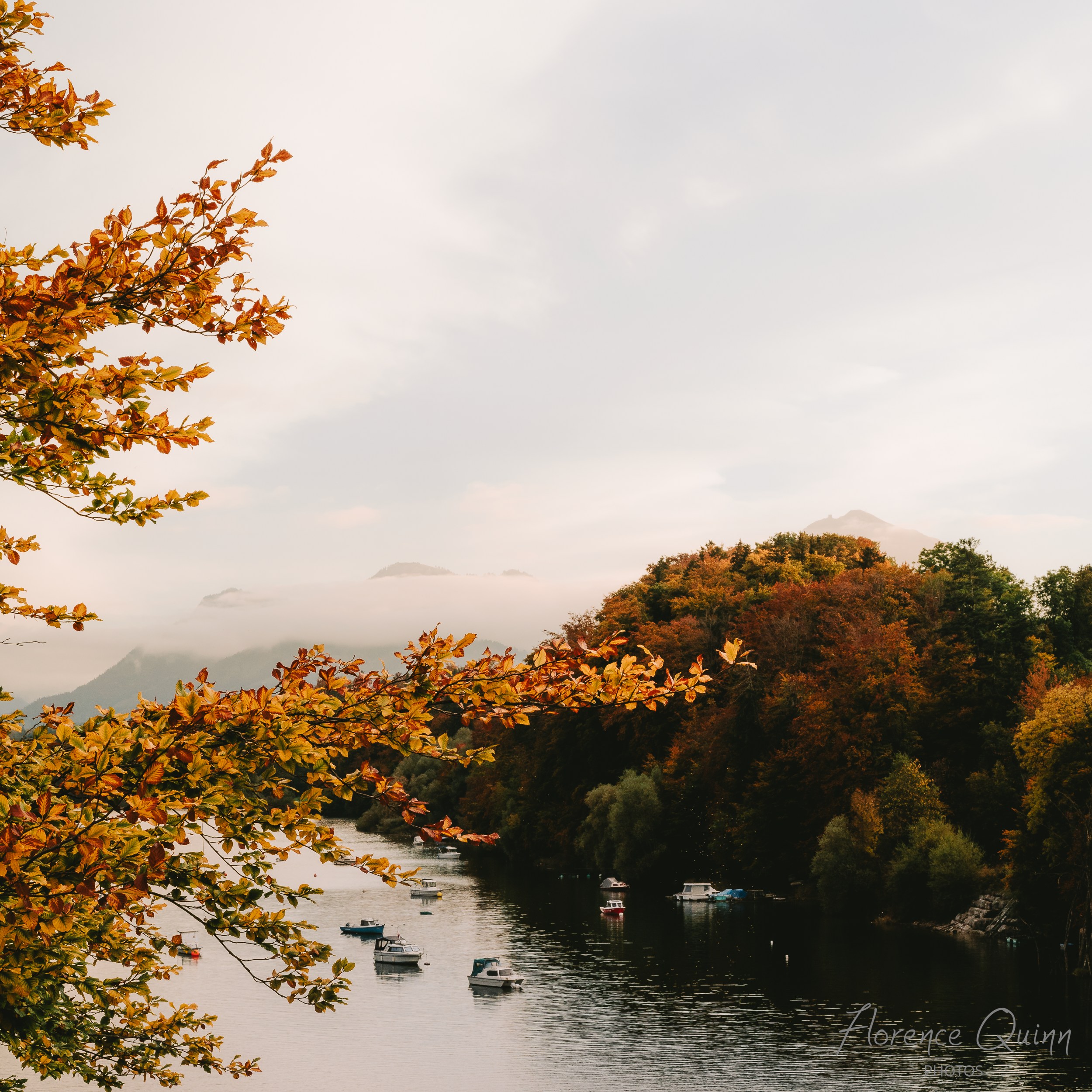 Heure dorée sur le lac de la Gruyère
