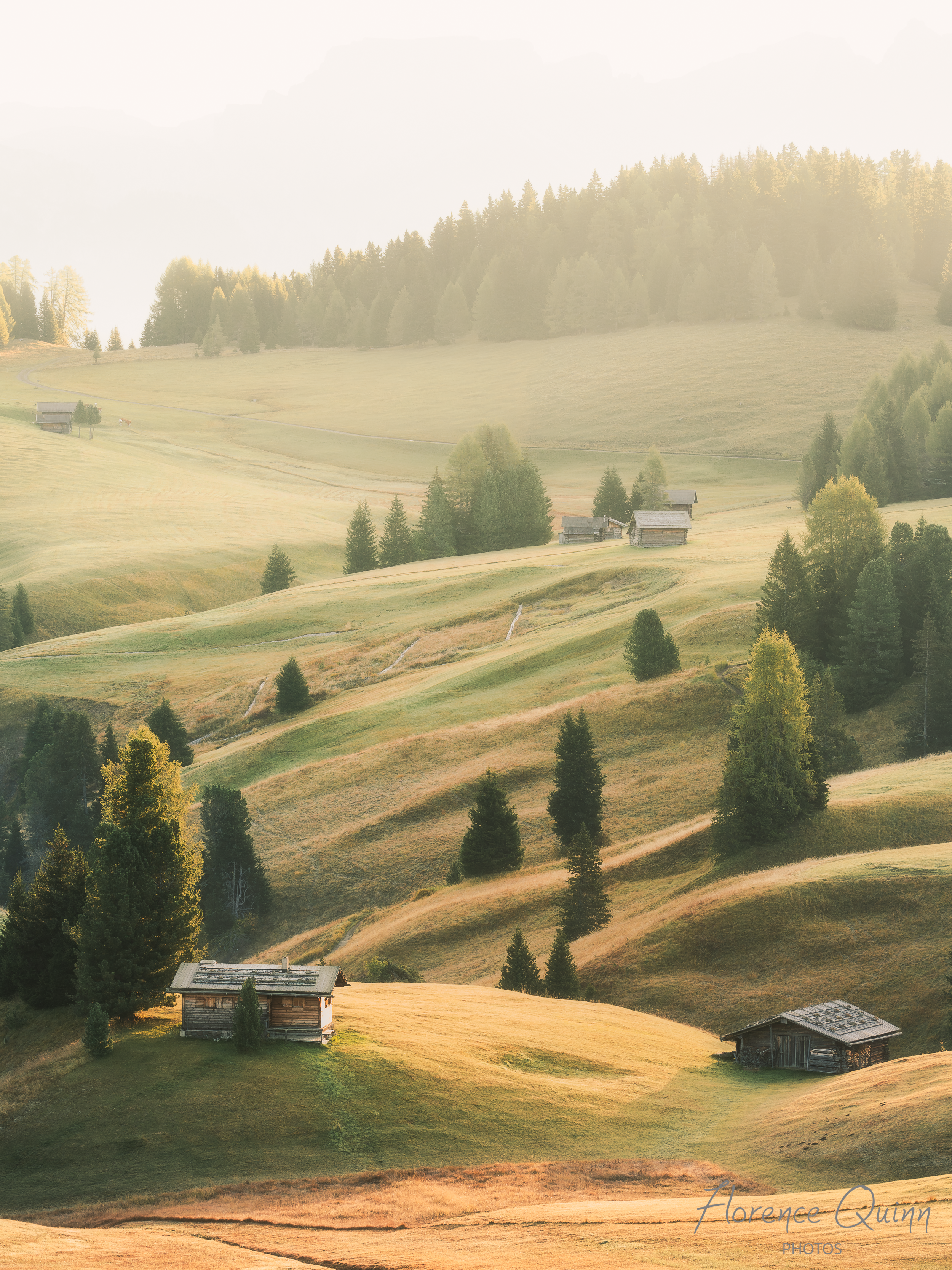 Petit matin doré, Alpe di Siusi