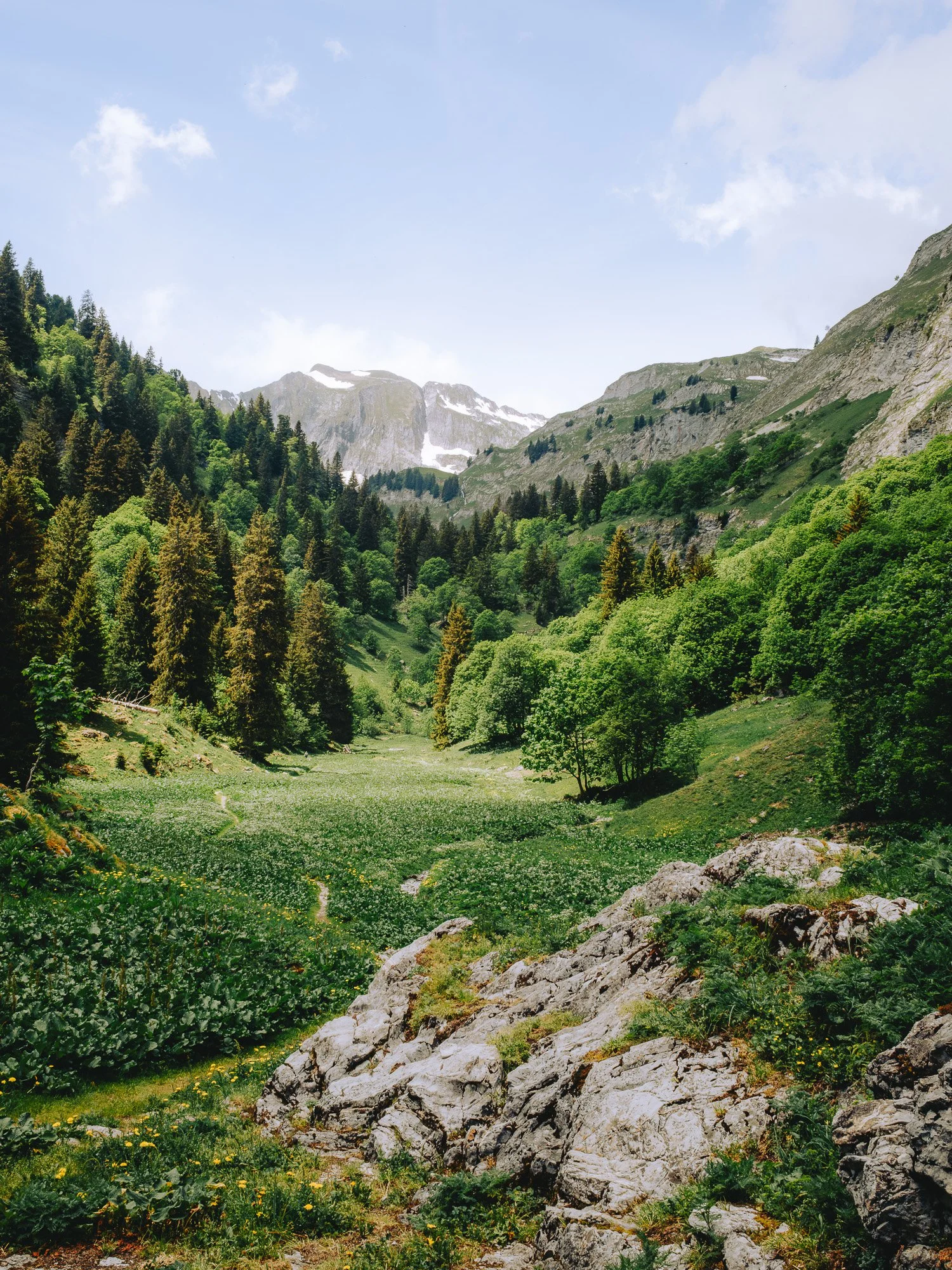 Vallée des Morteys 