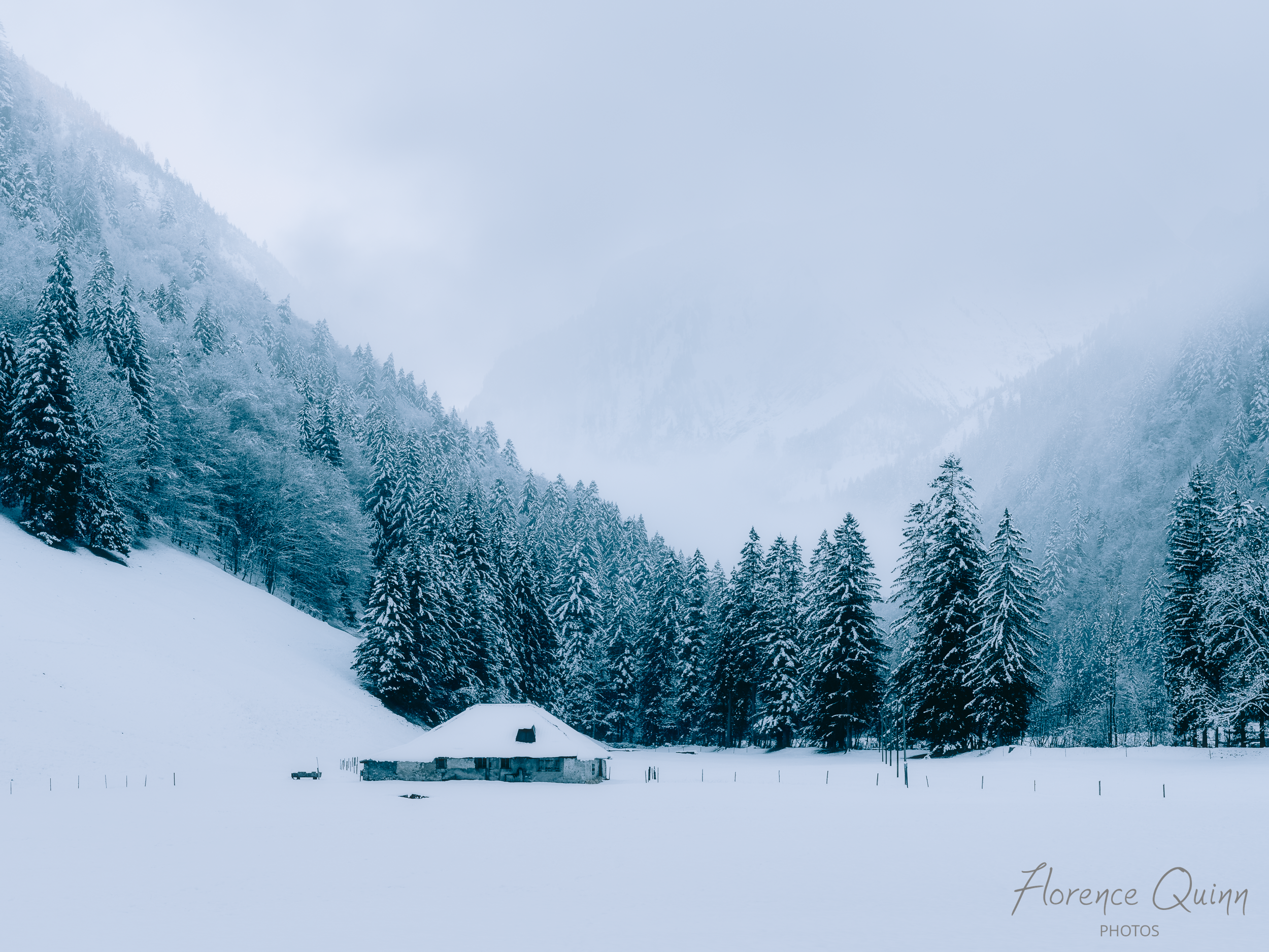 Entre brouillard et soleil, Val de Charmey