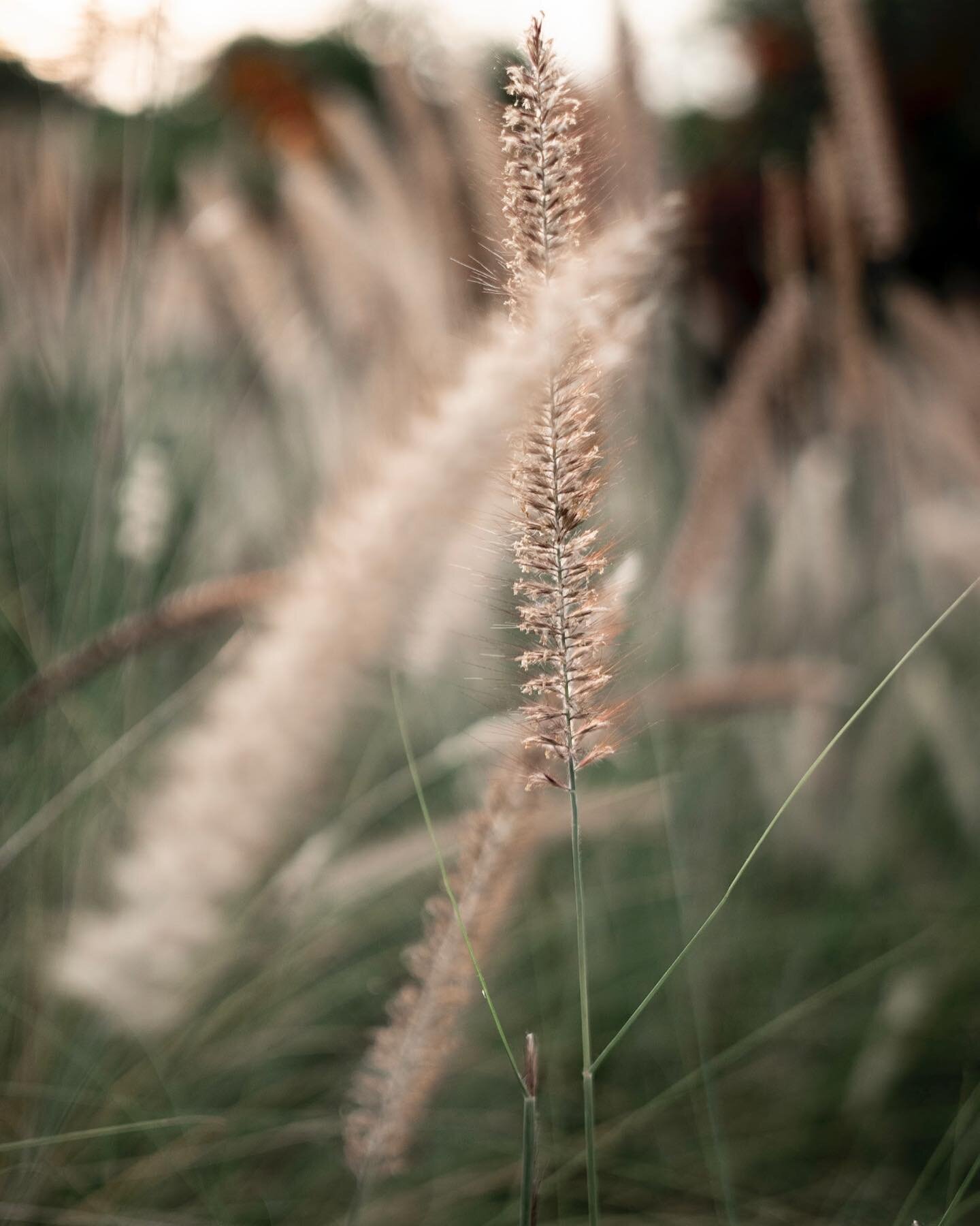 &ldquo;Adopt the pace of nature. Her secret is patience.&rdquo; &ndash;Ralph Waldo Emerson

Grief has no defined timeline. As much as we may want to push forward and rush through our grief to return to some sense of normalcy, we must learn to sit in 