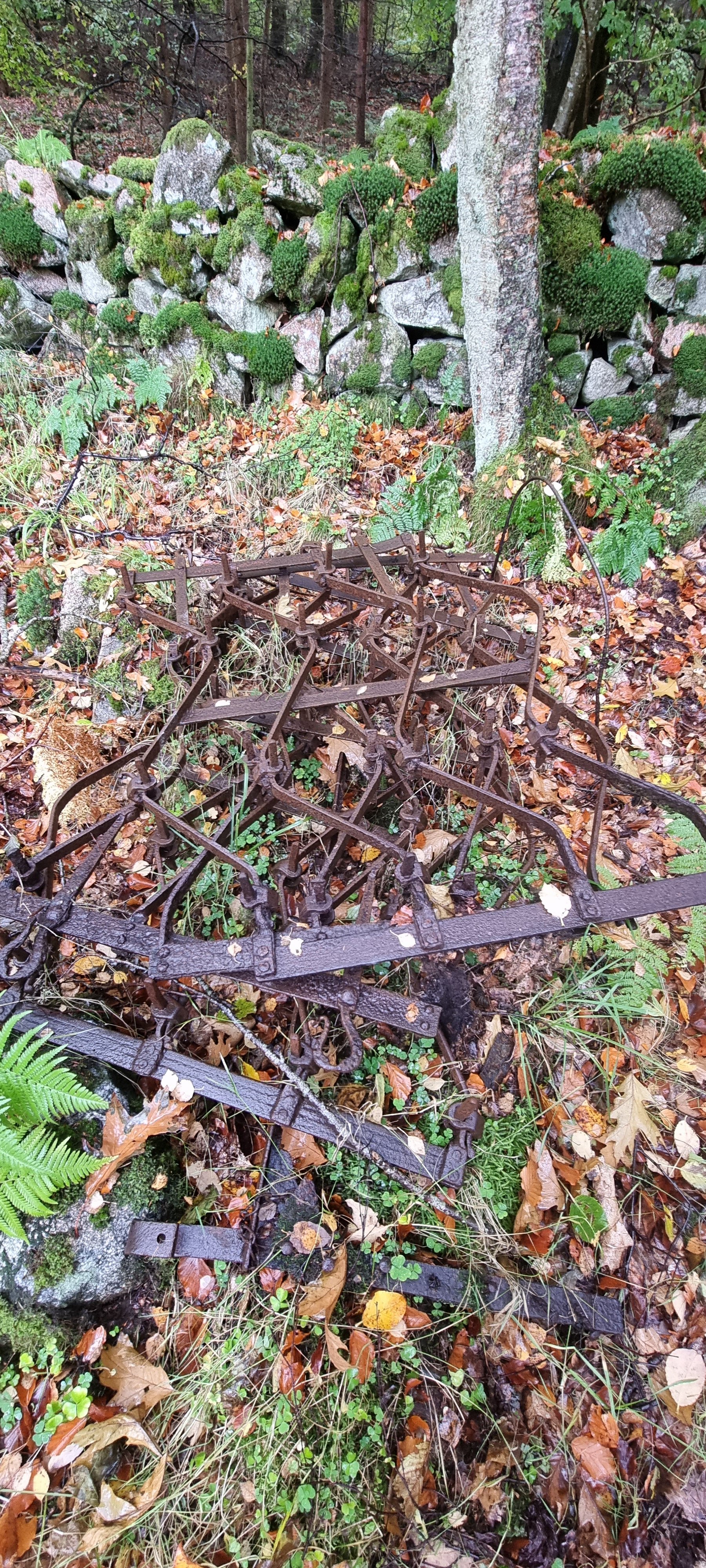 20221021_113435.jpg