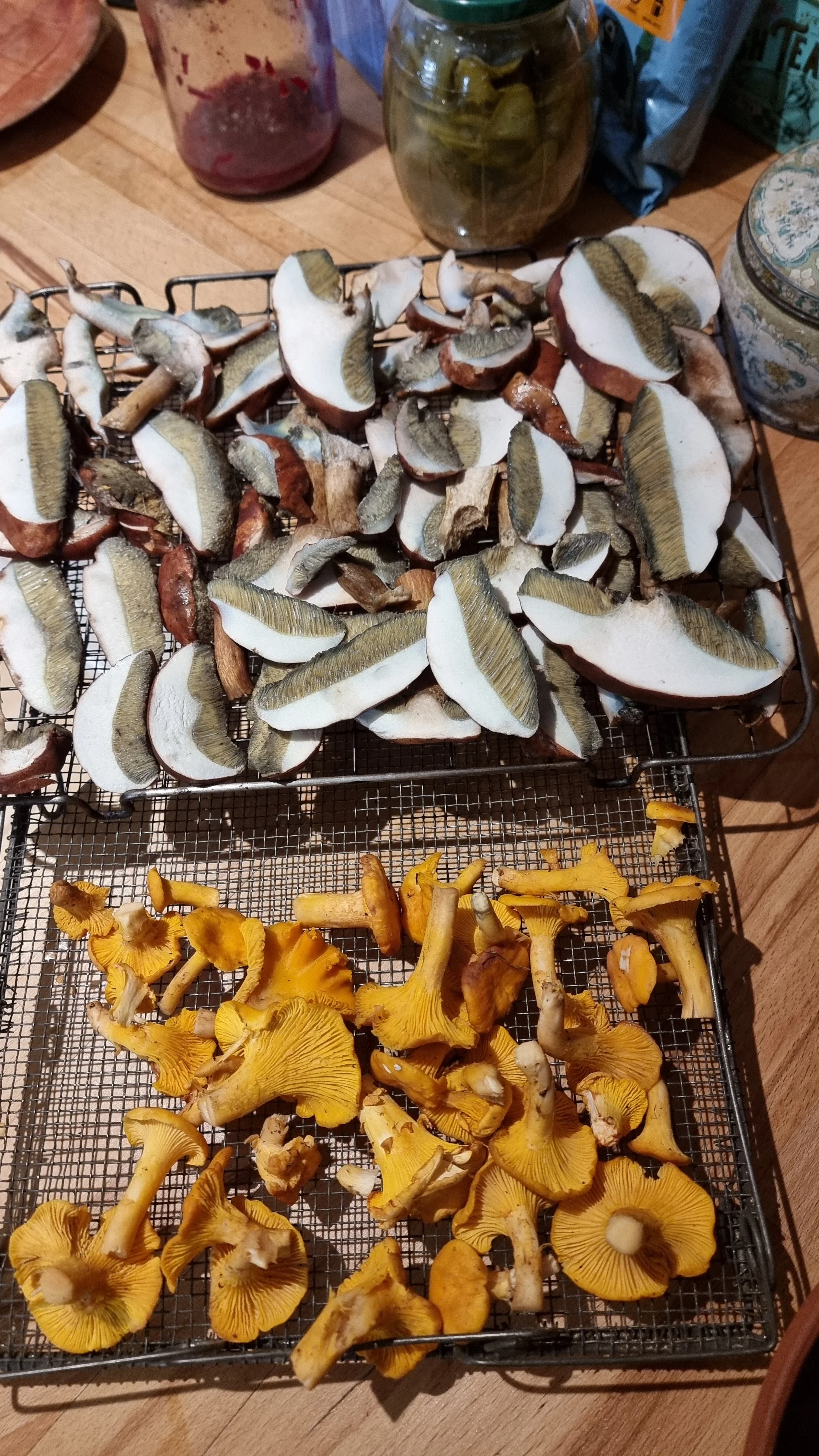 20221023_120600.jpg