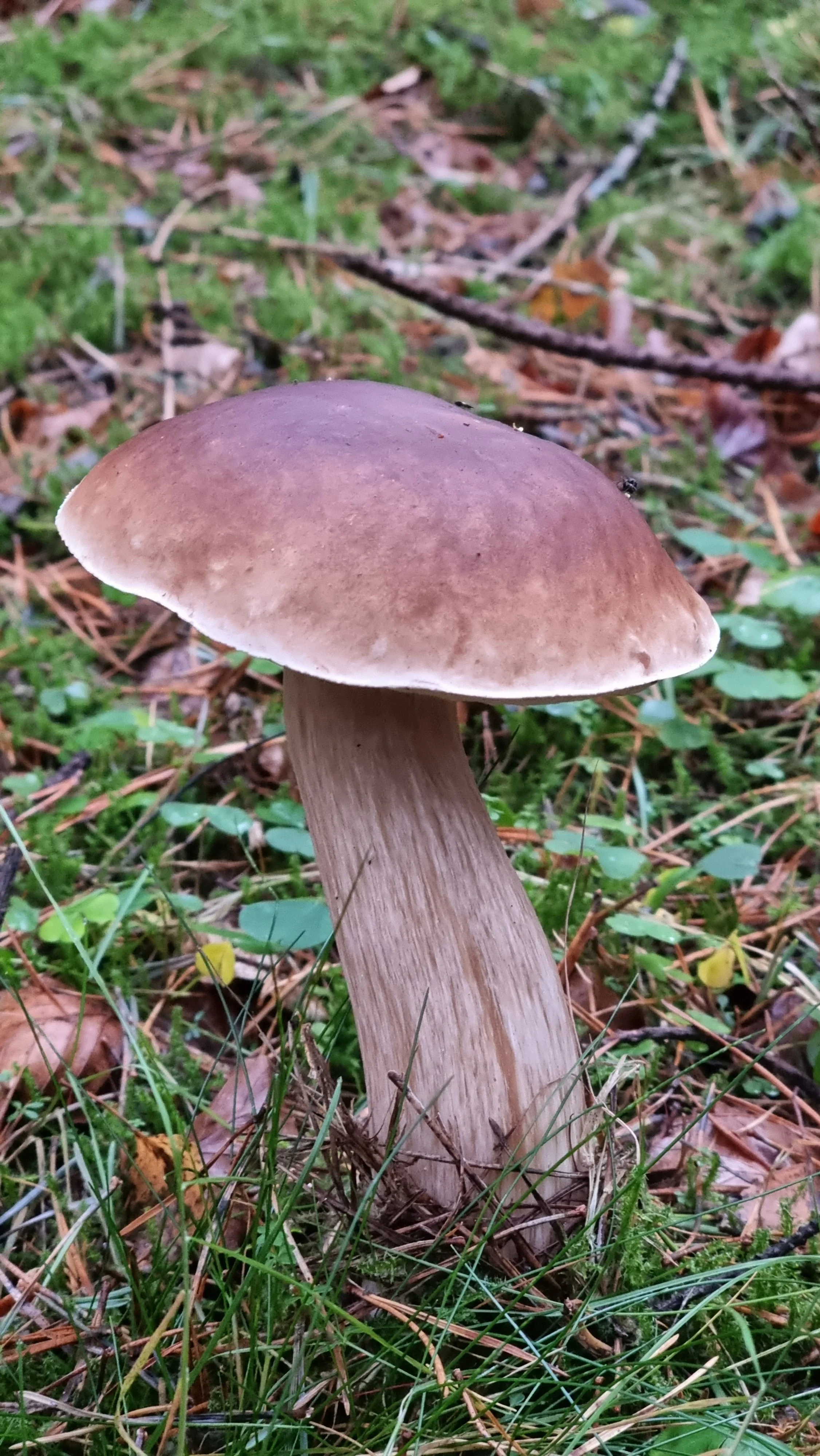 20221023_161502.jpg