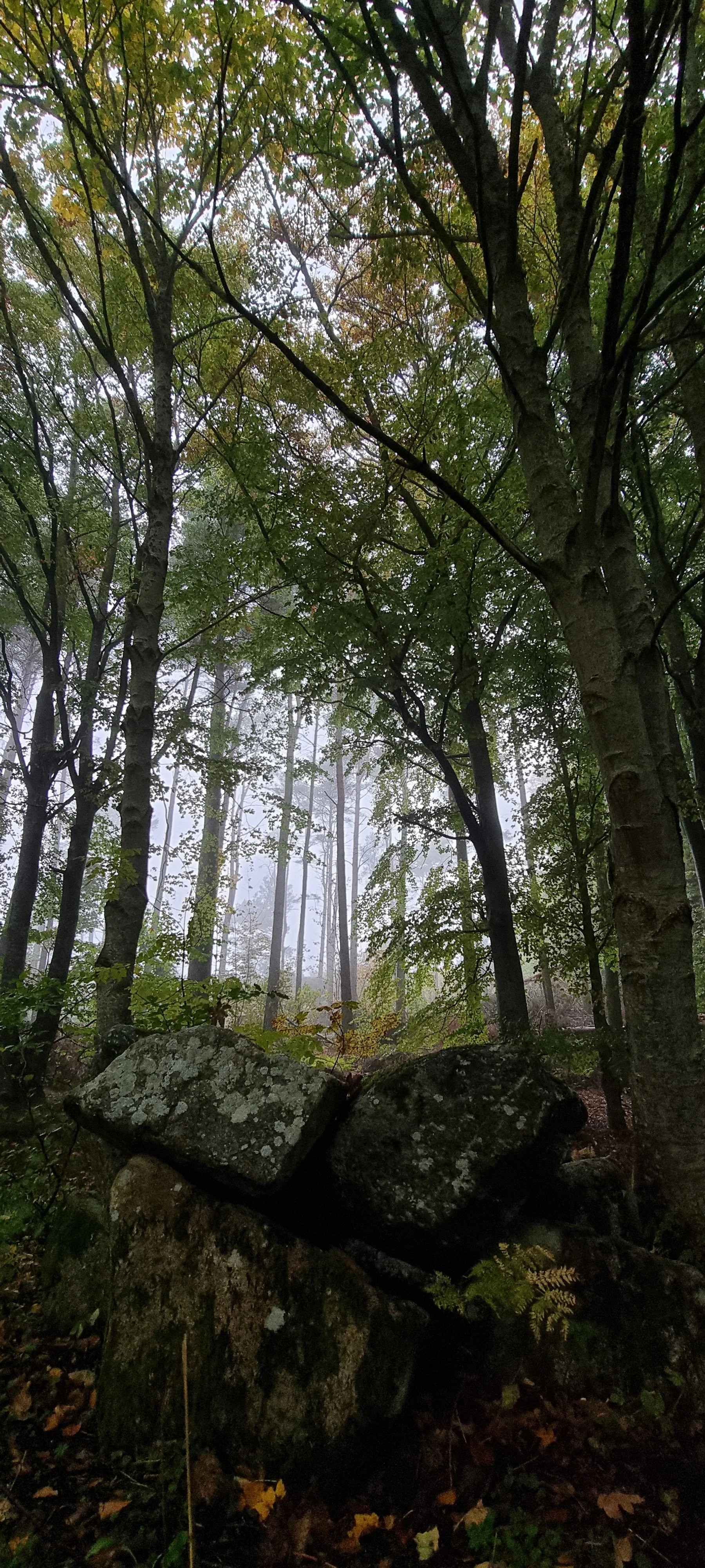 20221021_085059.jpg