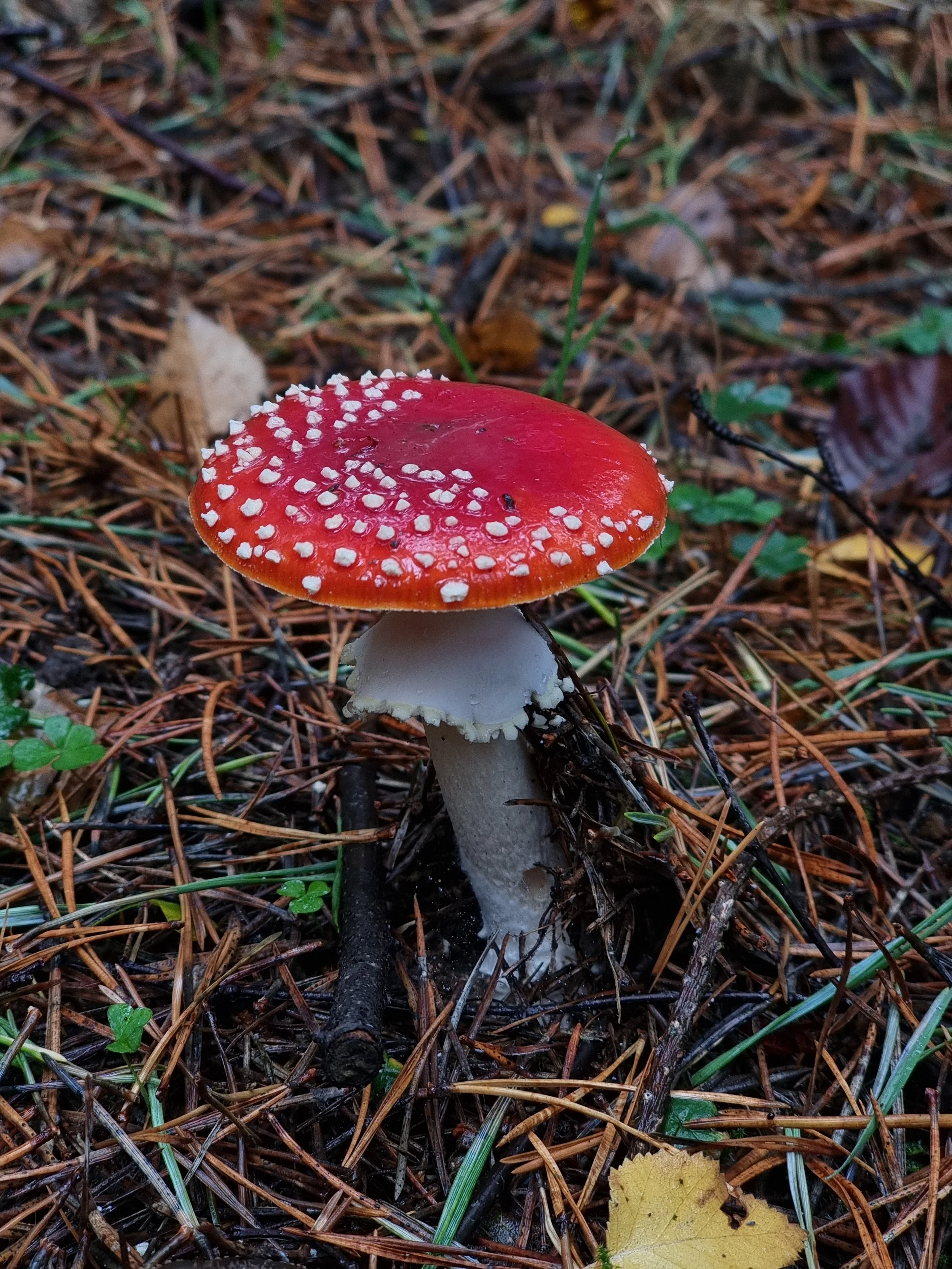 20221022_144230.jpg