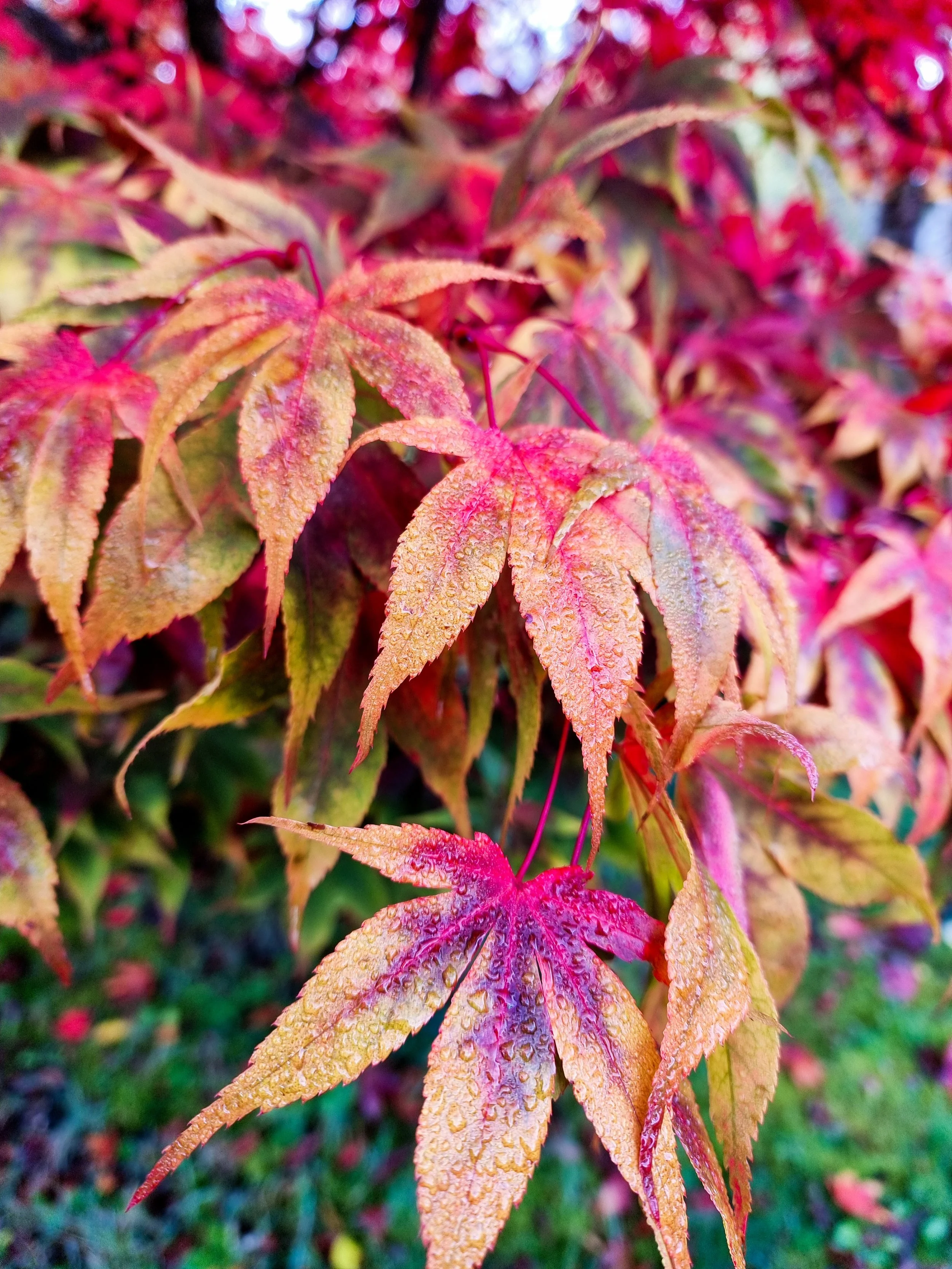 20221025_112121_01.jpg