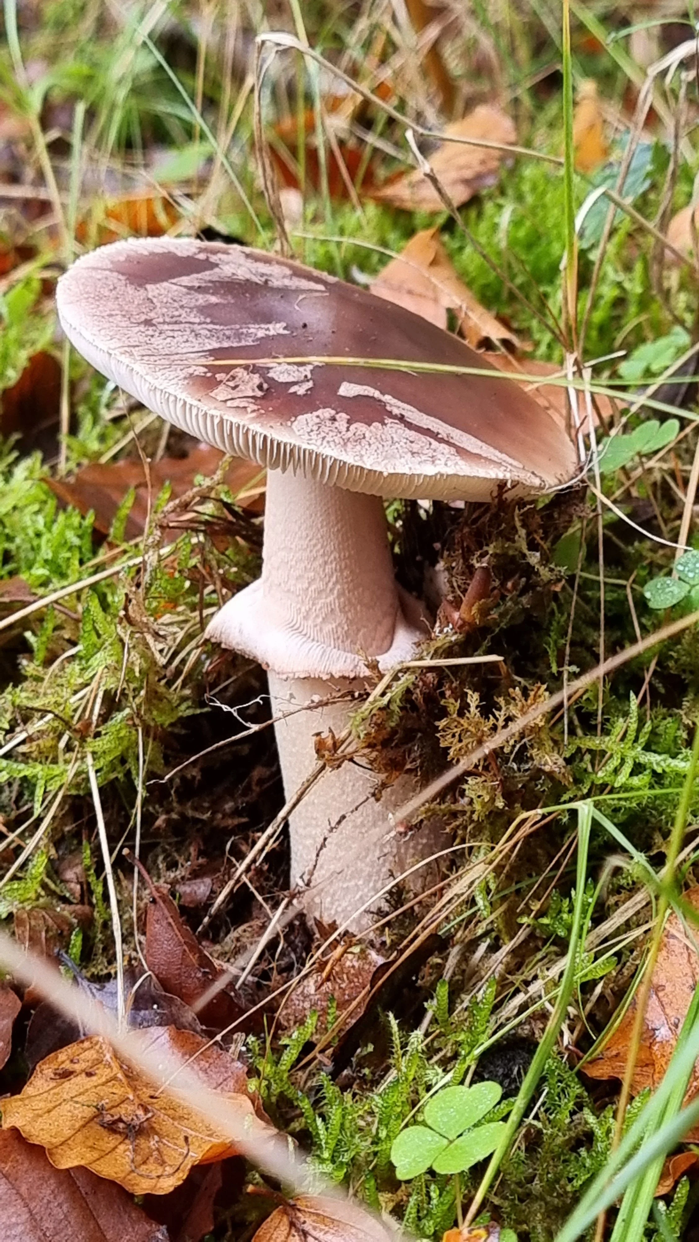 20221025_153915.jpg