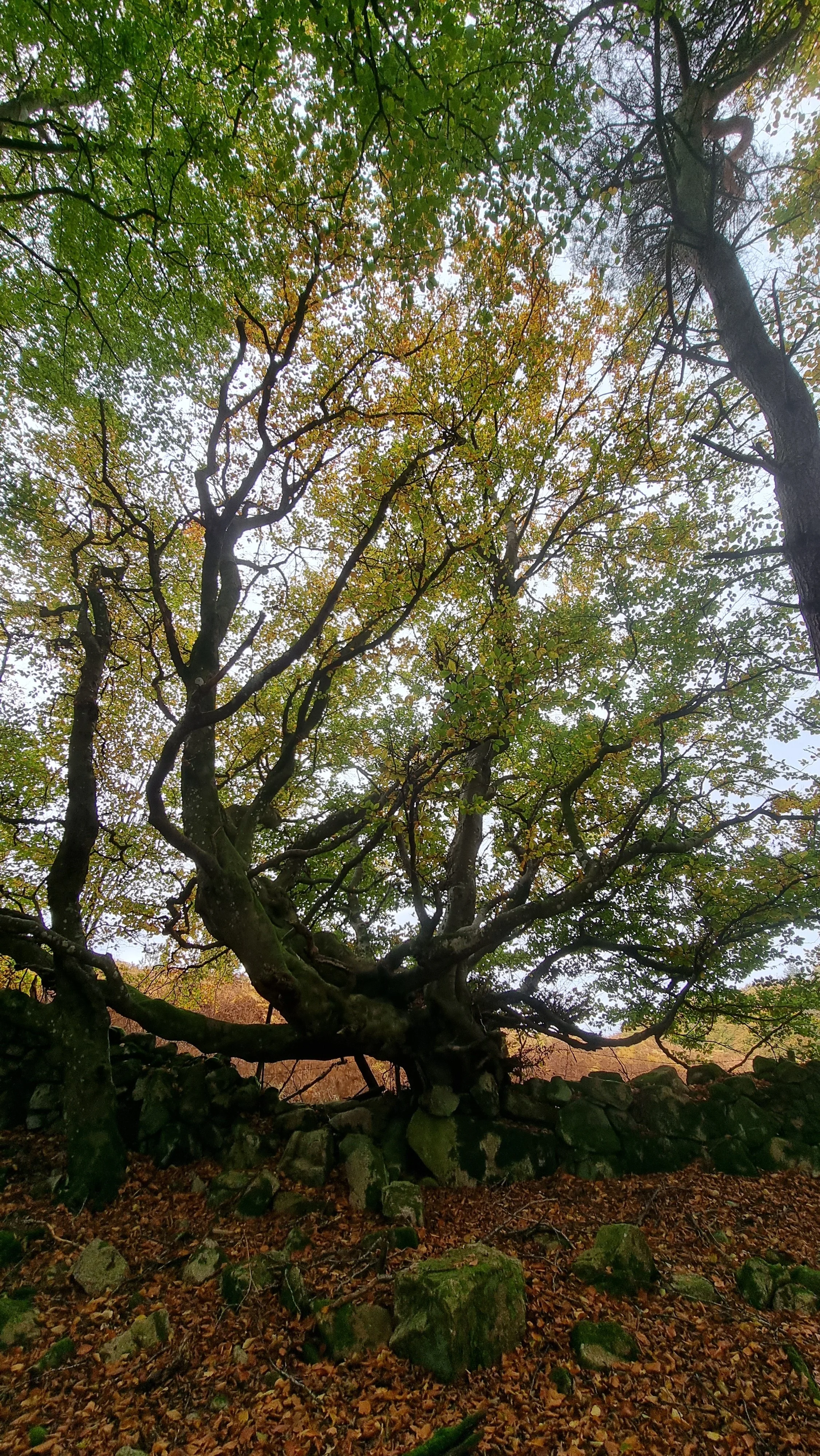 20221027_103949.jpg