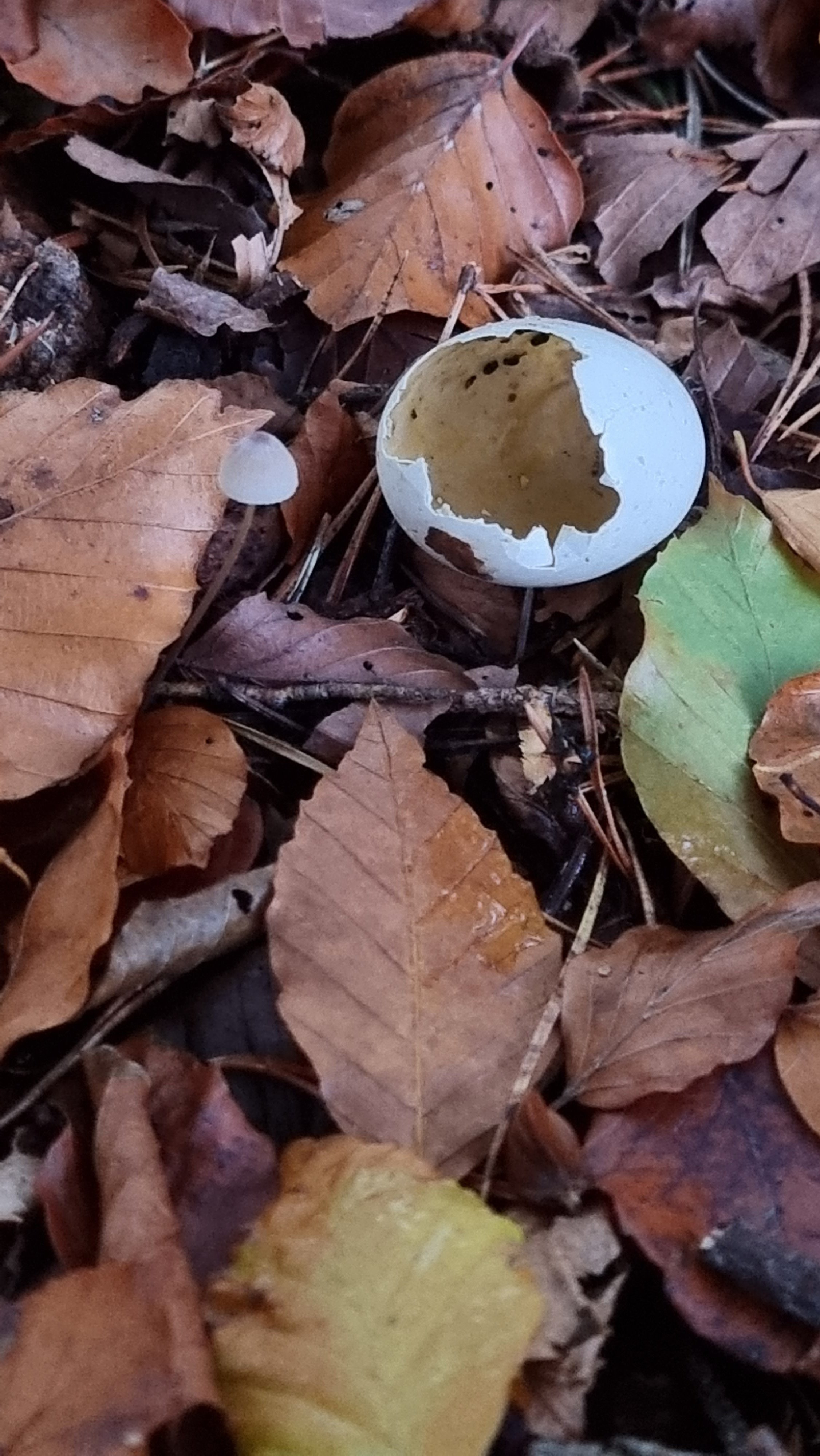 20221026_173841.jpg