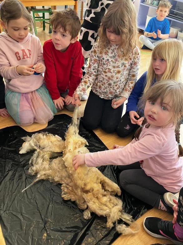 Children gathered around and examining a raw sheep's fleece on a black trash bag, participating in a  workshop about wool processing and natural fibres.