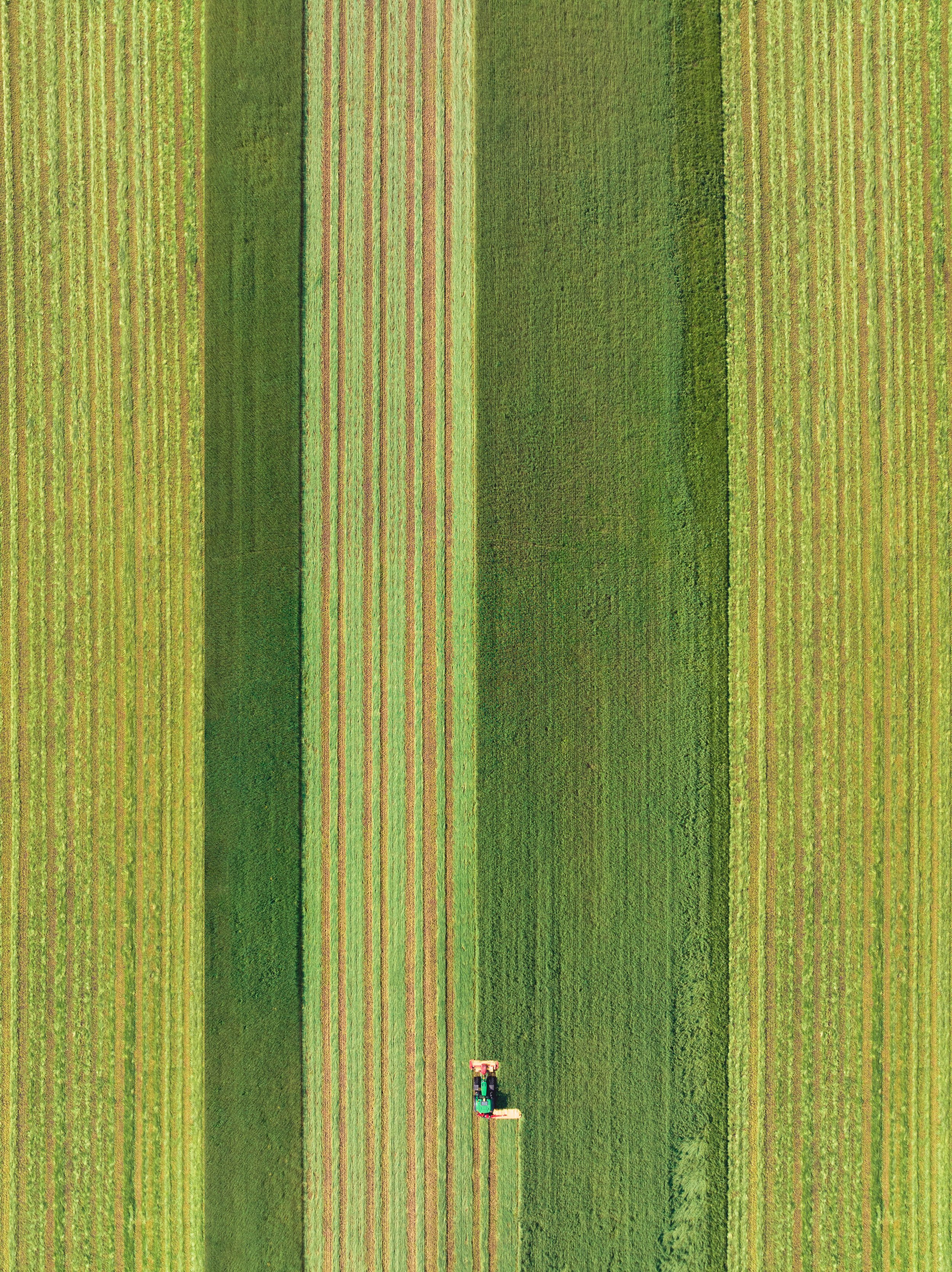 DJI_0419-HDR-Modifier.jpg
