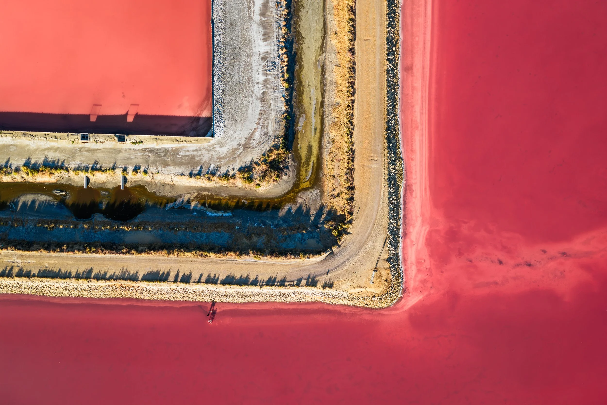 DJI_20260728073746_0151_D.jpg