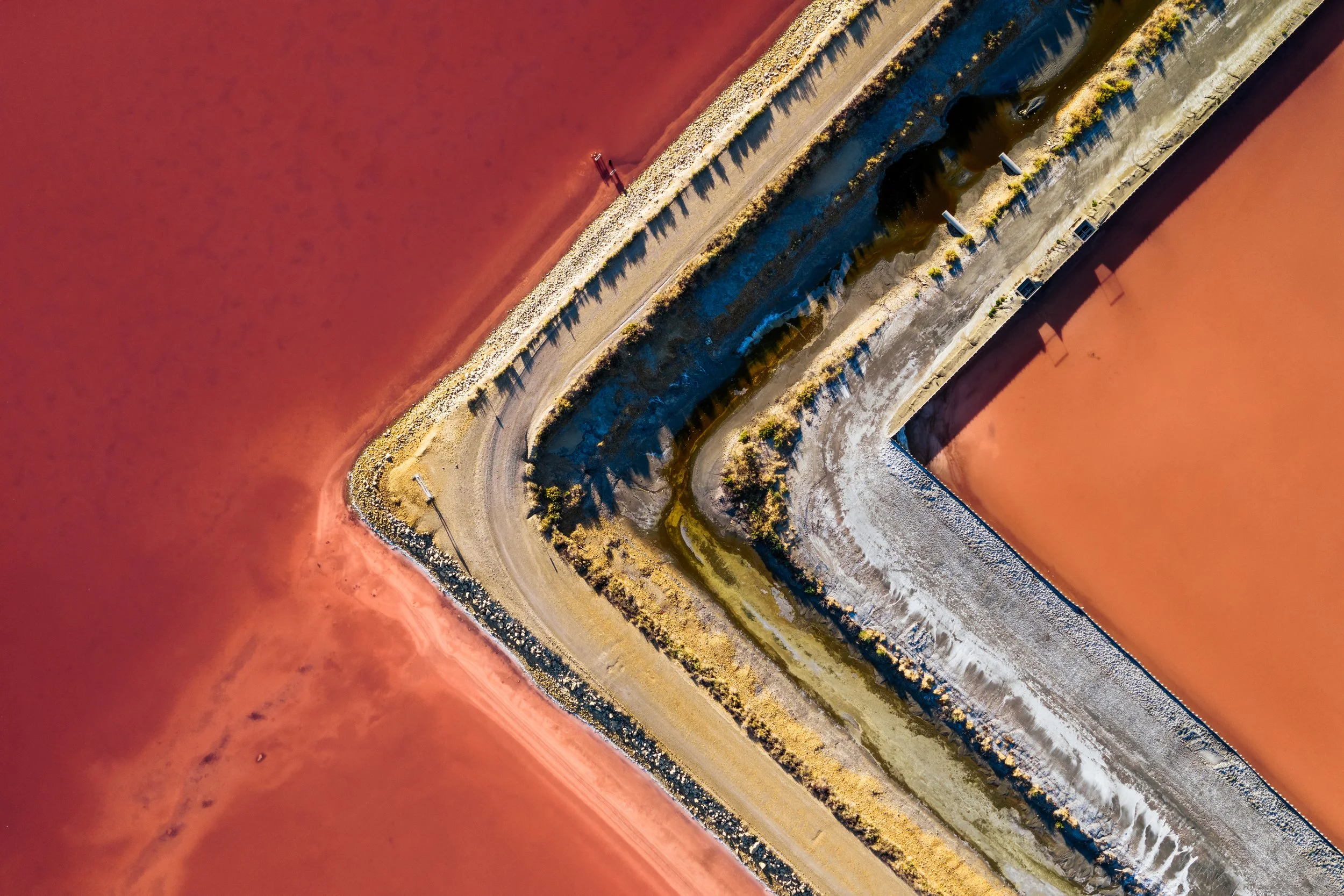 DJI_20260728073802_0154_D.jpg