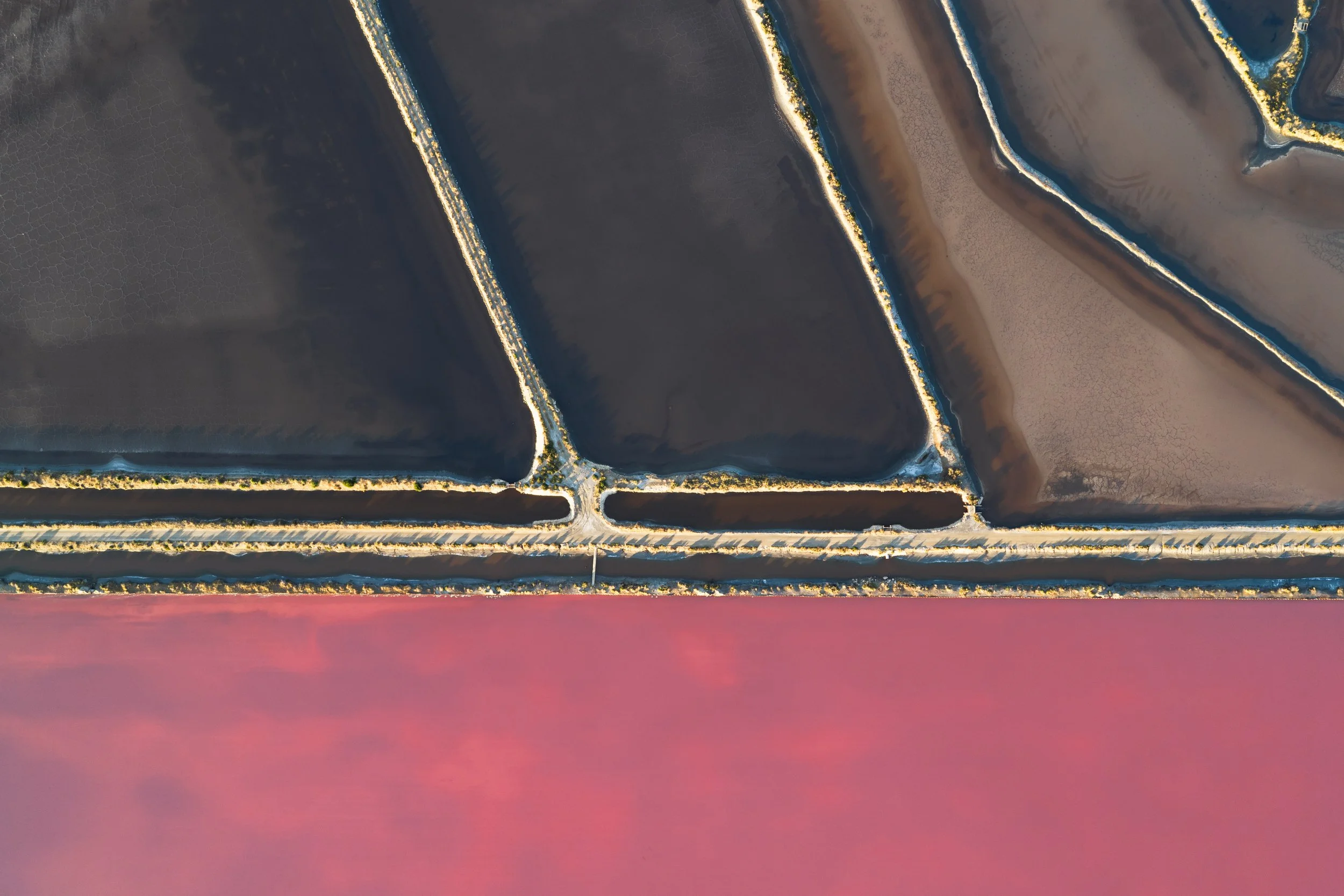 DJI_20260728070146_0024_D.jpg