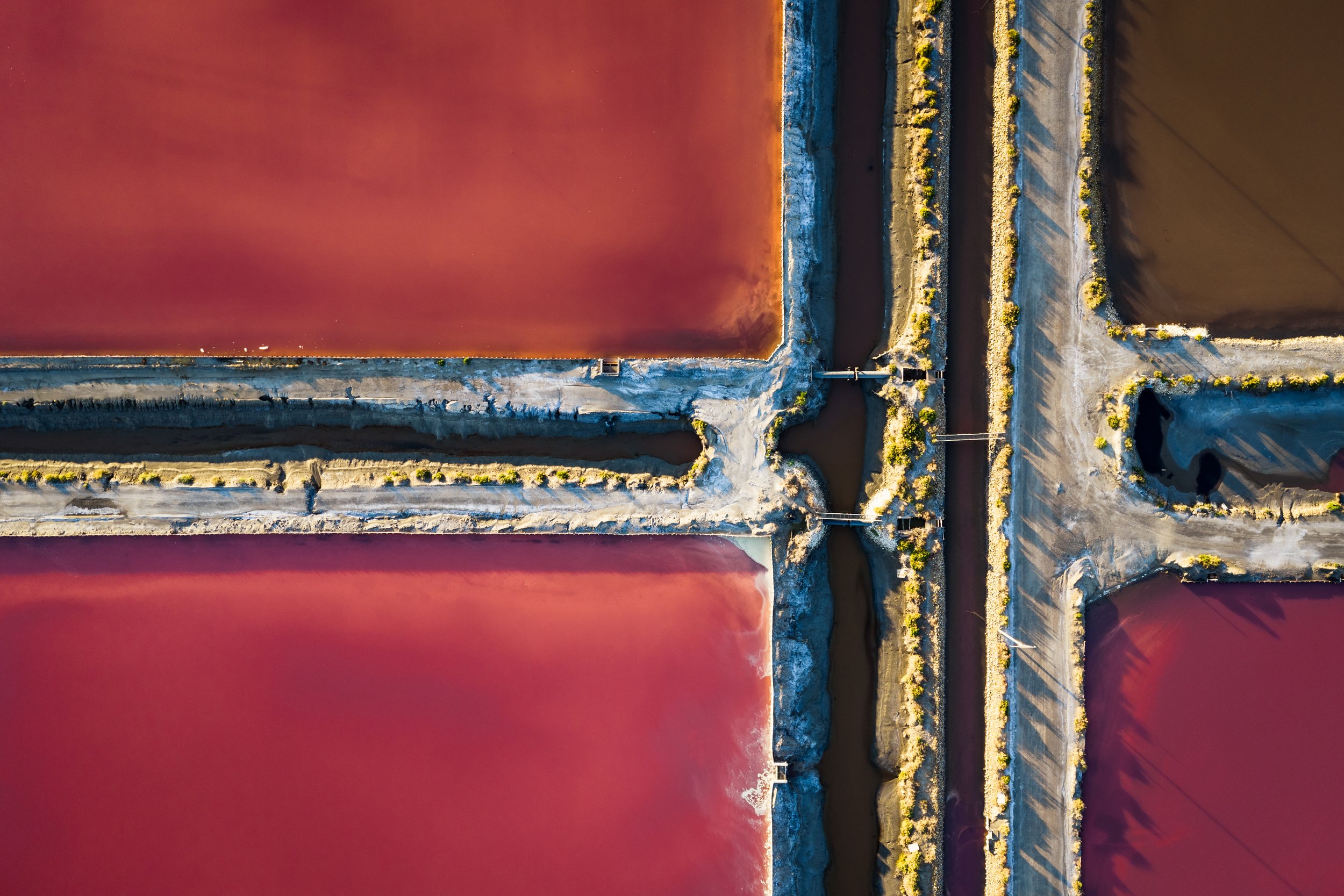 DJI_20260728070554_0035_D.jpg